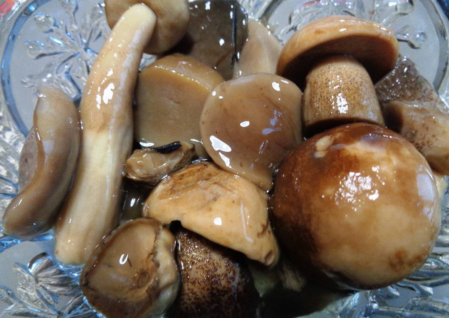 Съедобные грибы для засолки