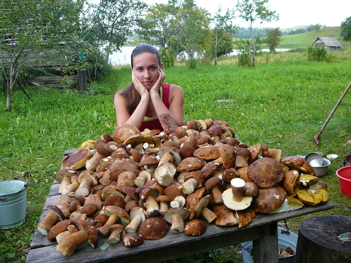 Собираем грибы в деревне