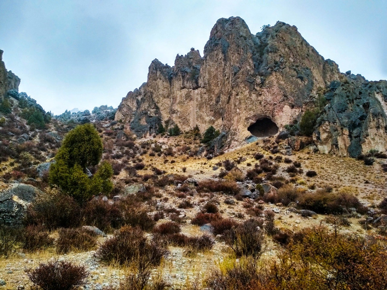 Грибы в Таджикистане в горах фото