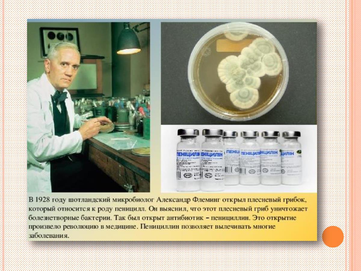 Микробиолог больше не болеет. Пенициллин плесень 1928 Флеминг. Флеминг пенициллин открытие. Открытие антибиотиков Александром Флемингом.
