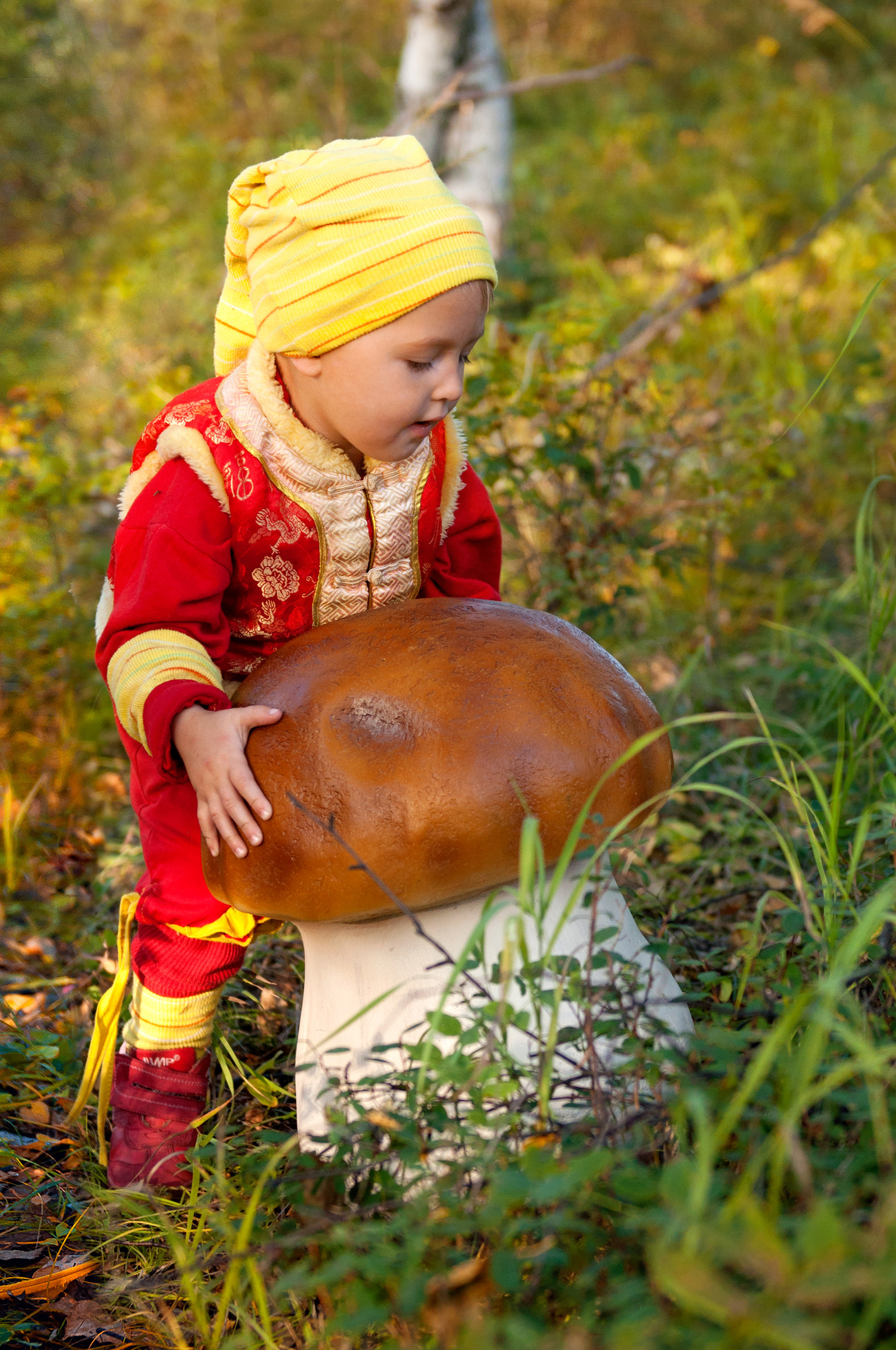 Девочка в лесу собирала грибы. Сбор грибов. Грибы в лесу. Собирание грибов в лесу. Мальчик с грибами.
