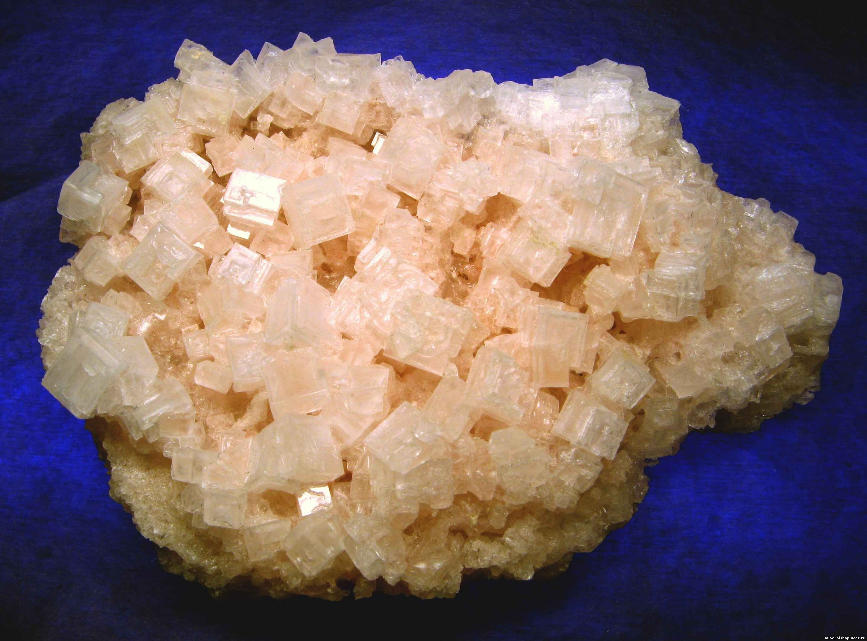 Природная минеральная соль. Галит каменная соль. Поваренная соль это минерал галит. Сильвин минерал. Галит Горная порода.