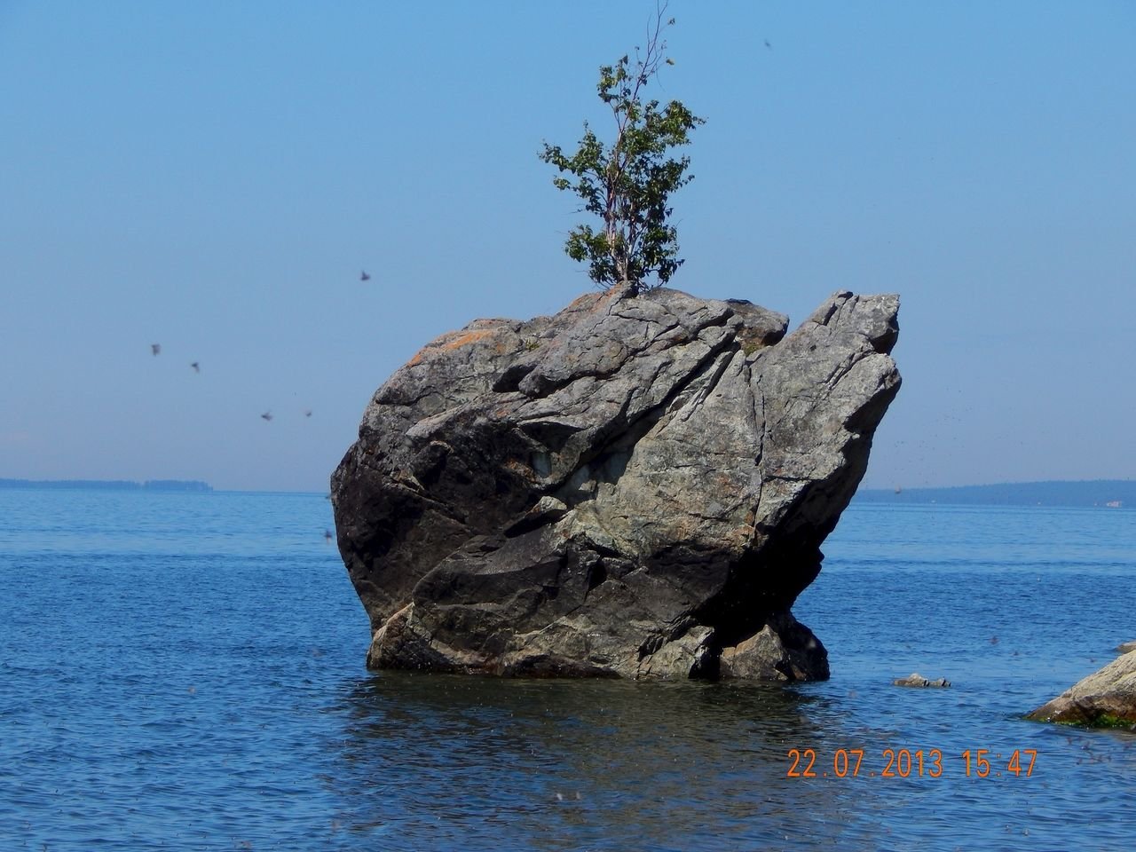 Камень черепаха на Байкале