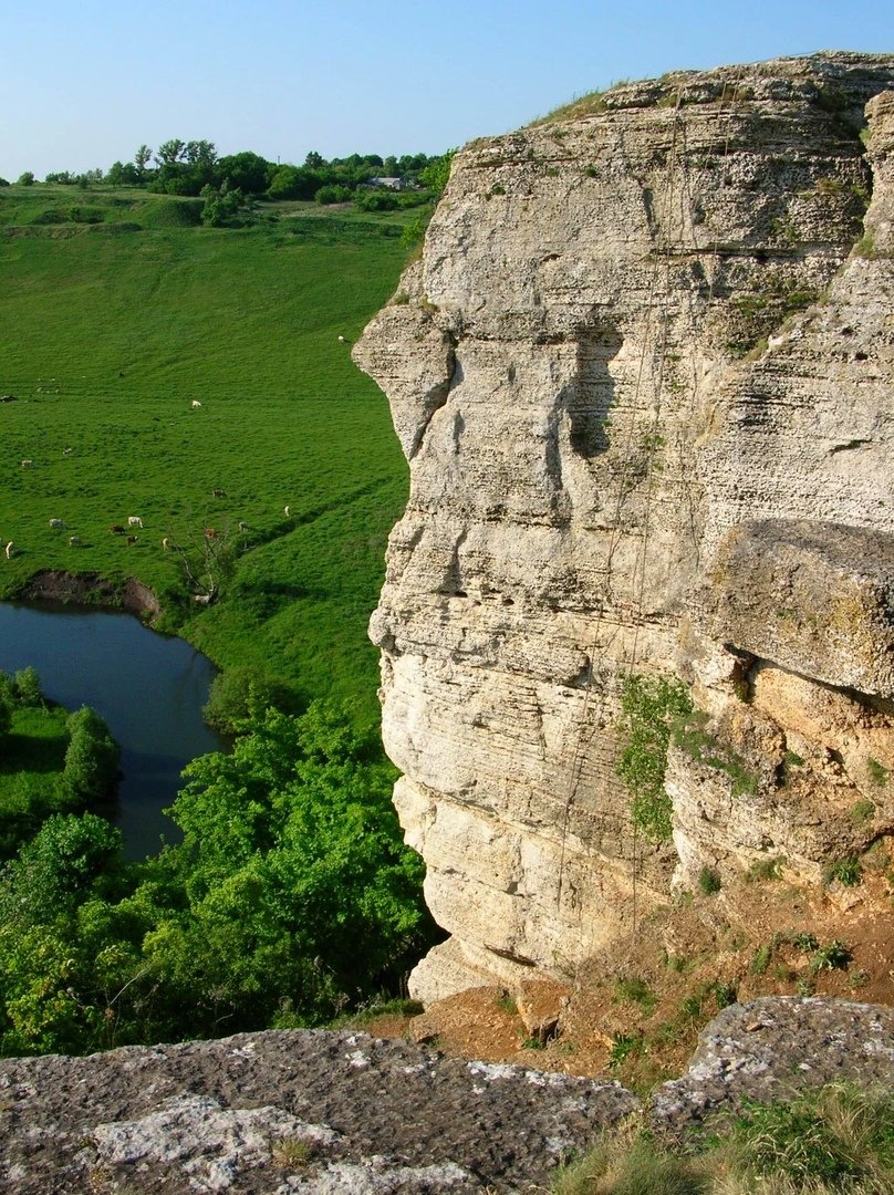 Воргольские скалы в липецкой области фото