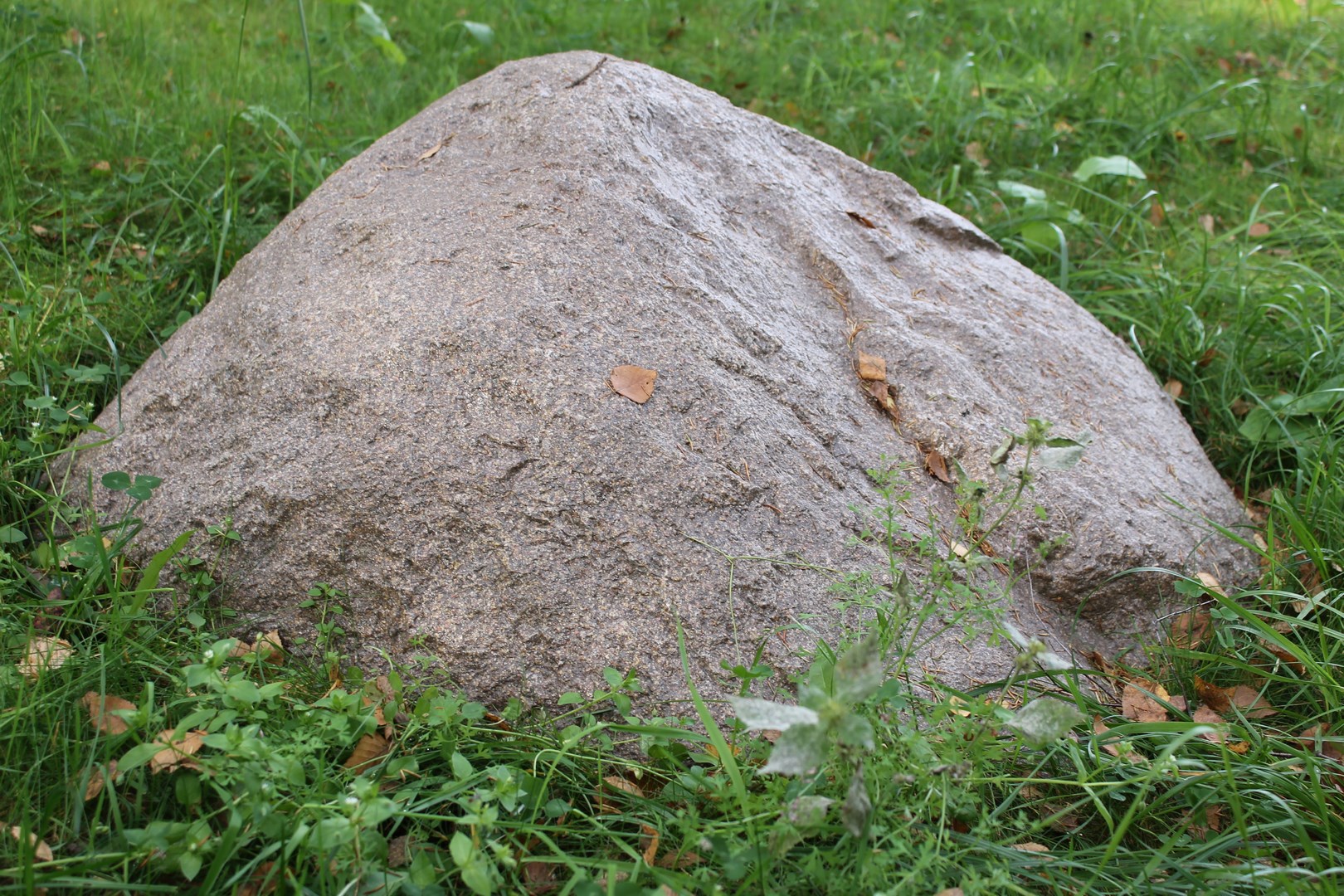 Камень пон. Валун двугорбый Вологодский район. Декоративный валун. Камень валун. Камень на люк.