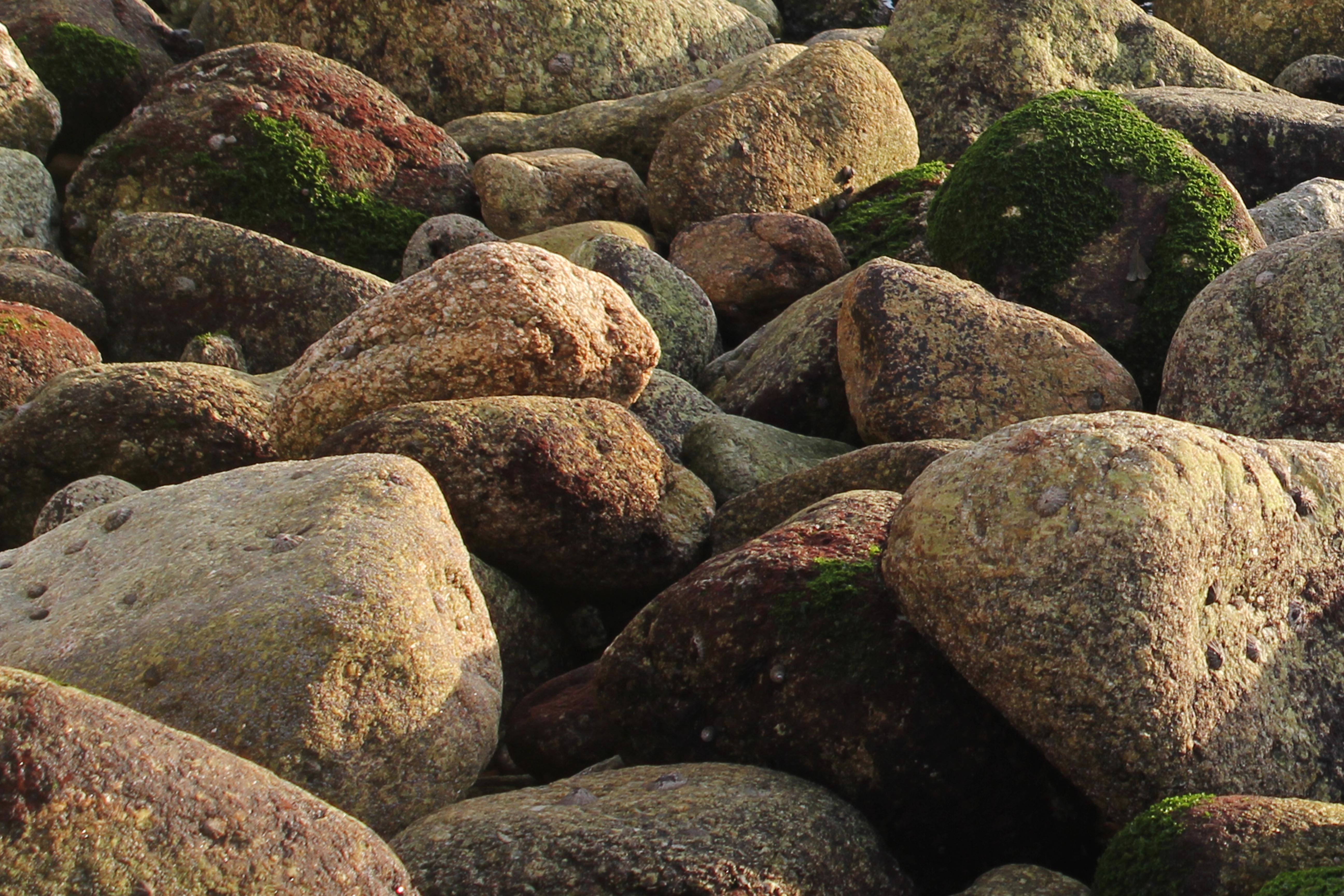 Stone photo. Камень валун большой. Каменные глыбы Балтик Грин. Глыбы и валуны. Валуны булыжники.