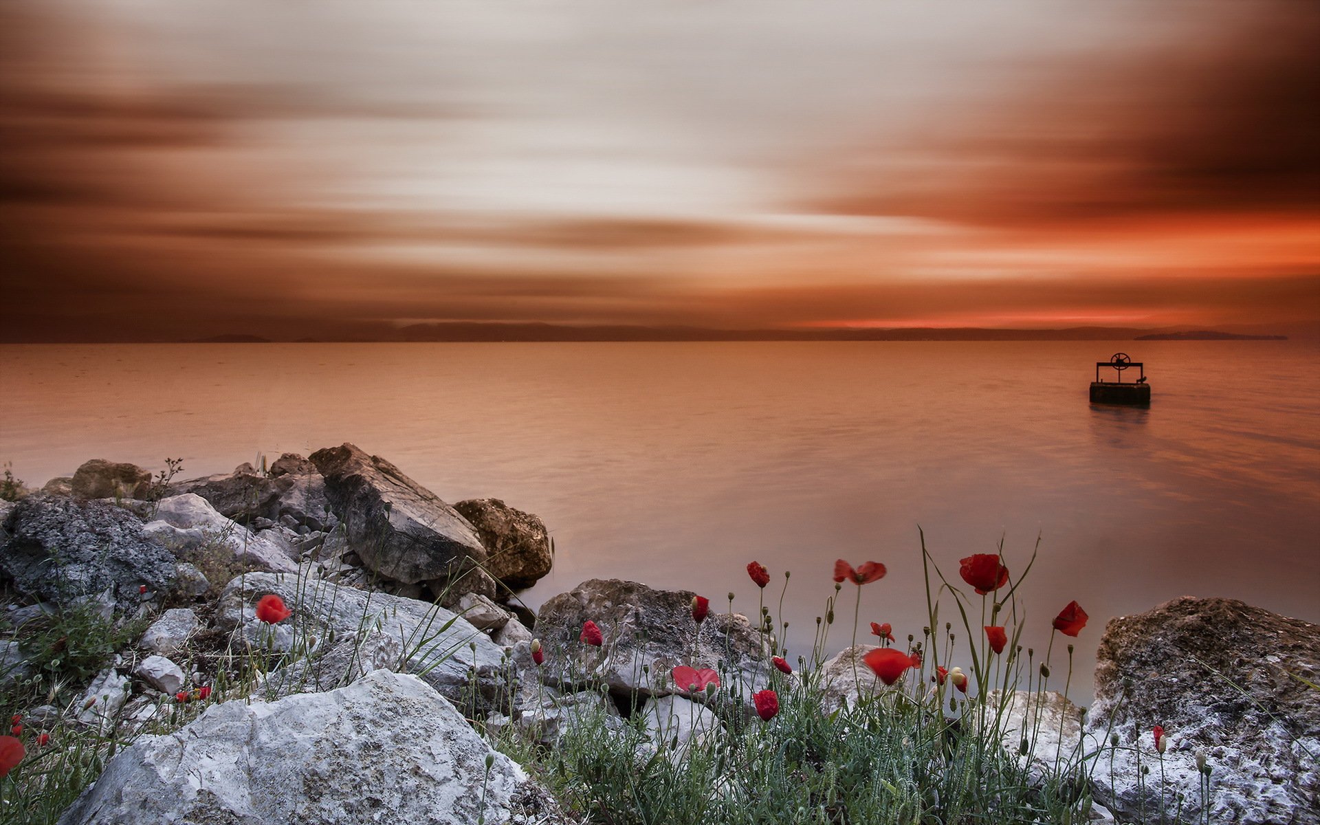Камни красного моря