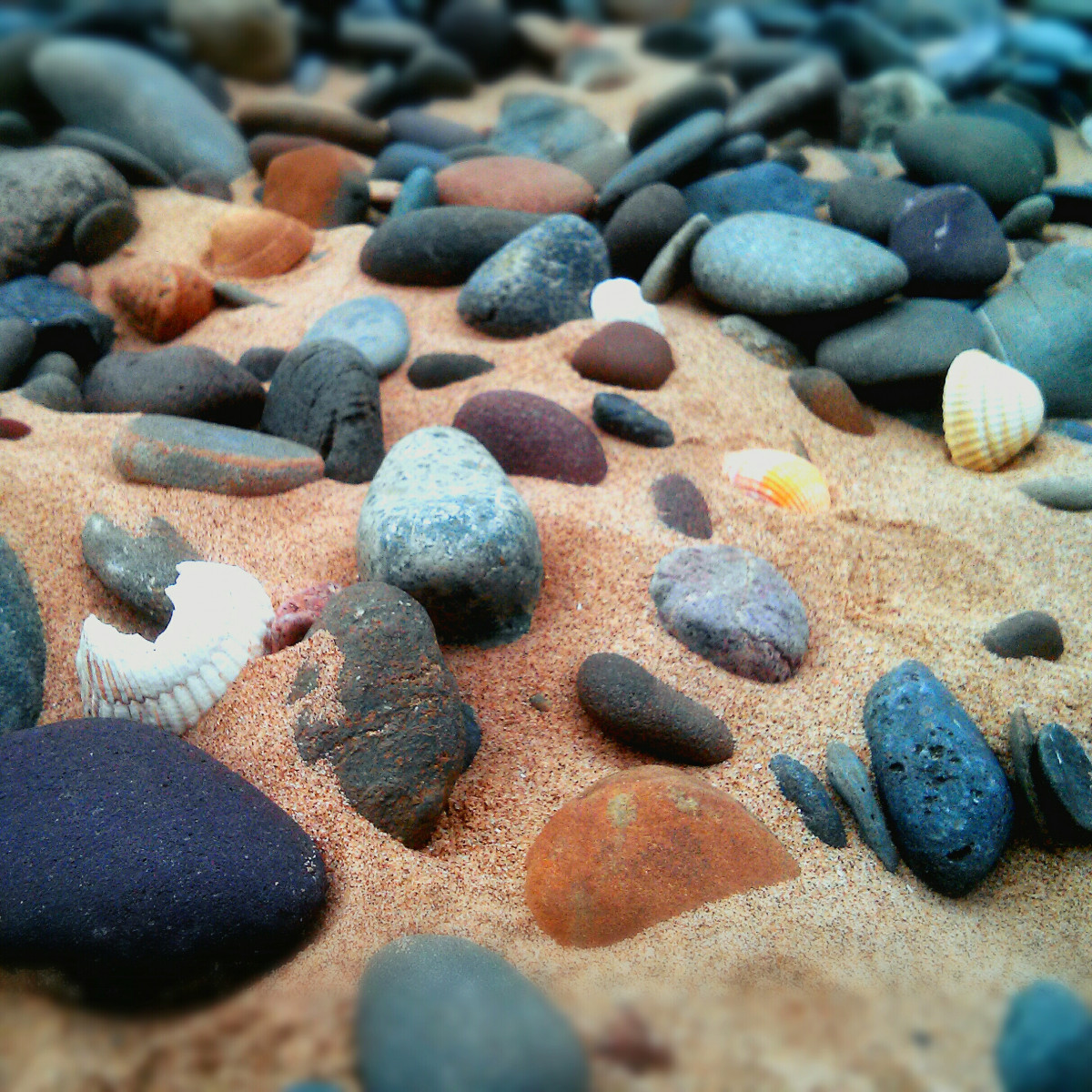 Камни красного моря