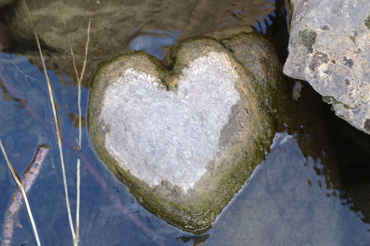 Сердце камень песня слушать. Сердце камень. Водяное сердце. Сердце вода. Каменное сердце.