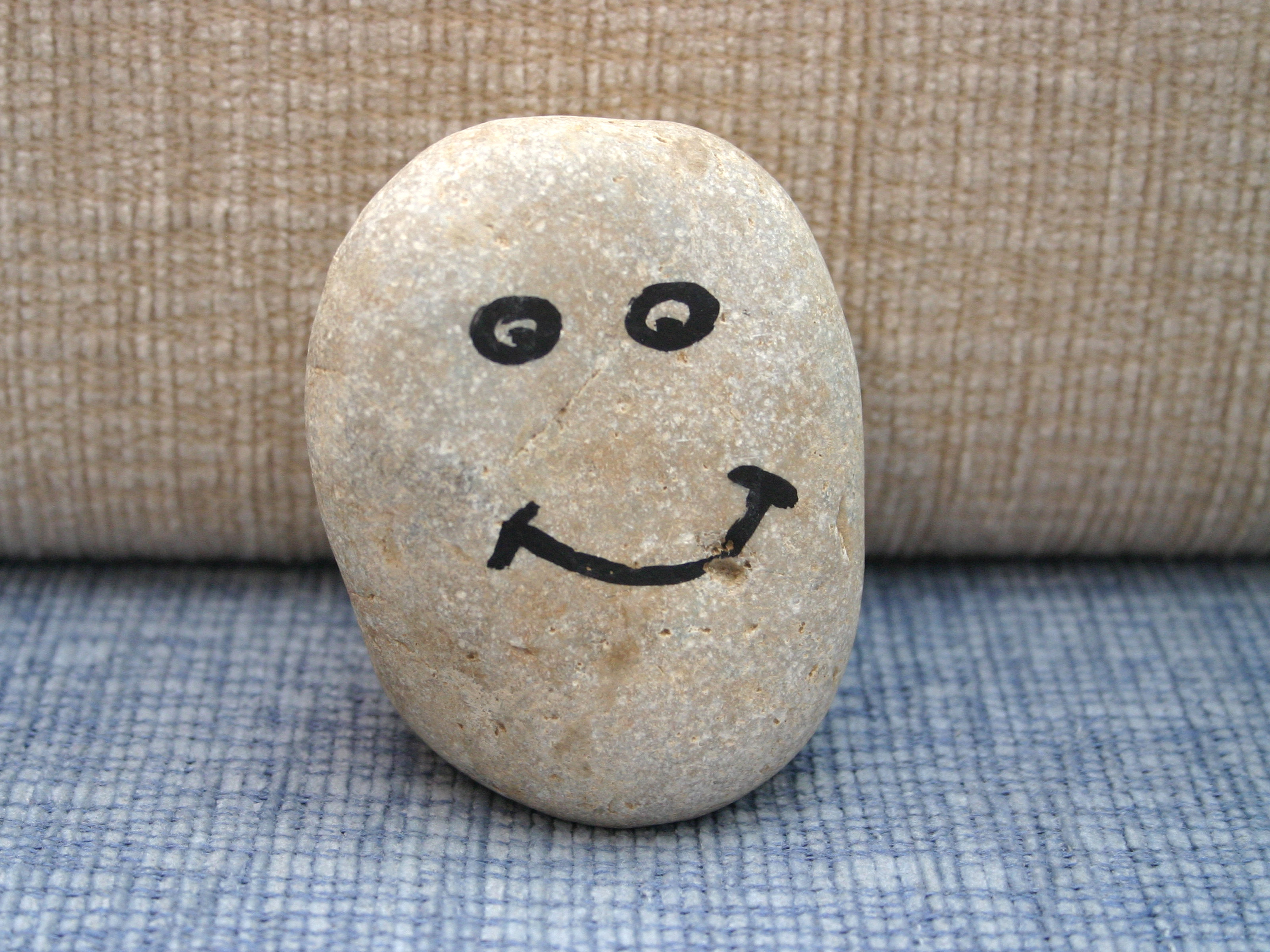 Камень питомец