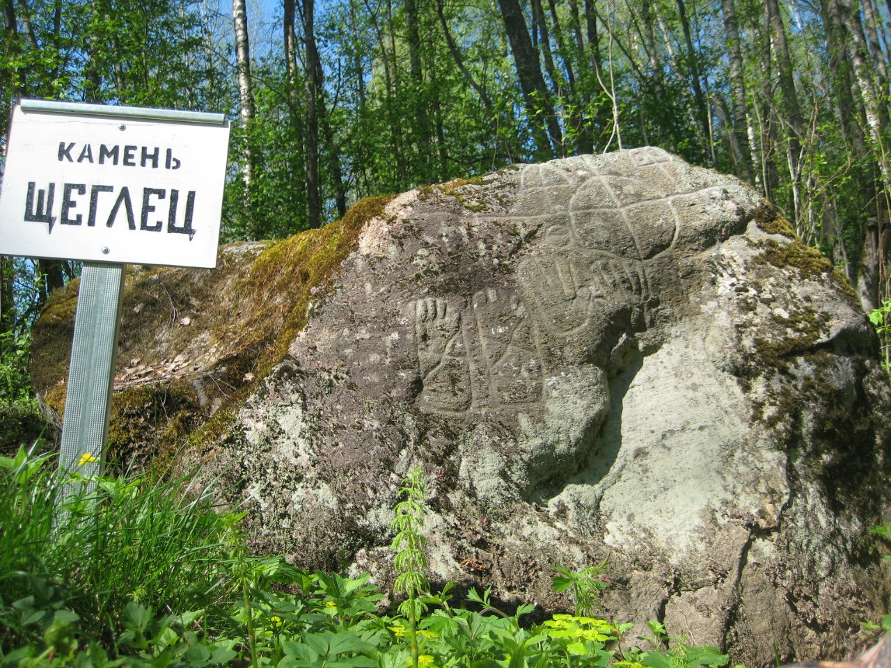 Камень Щеглец Новгородская область