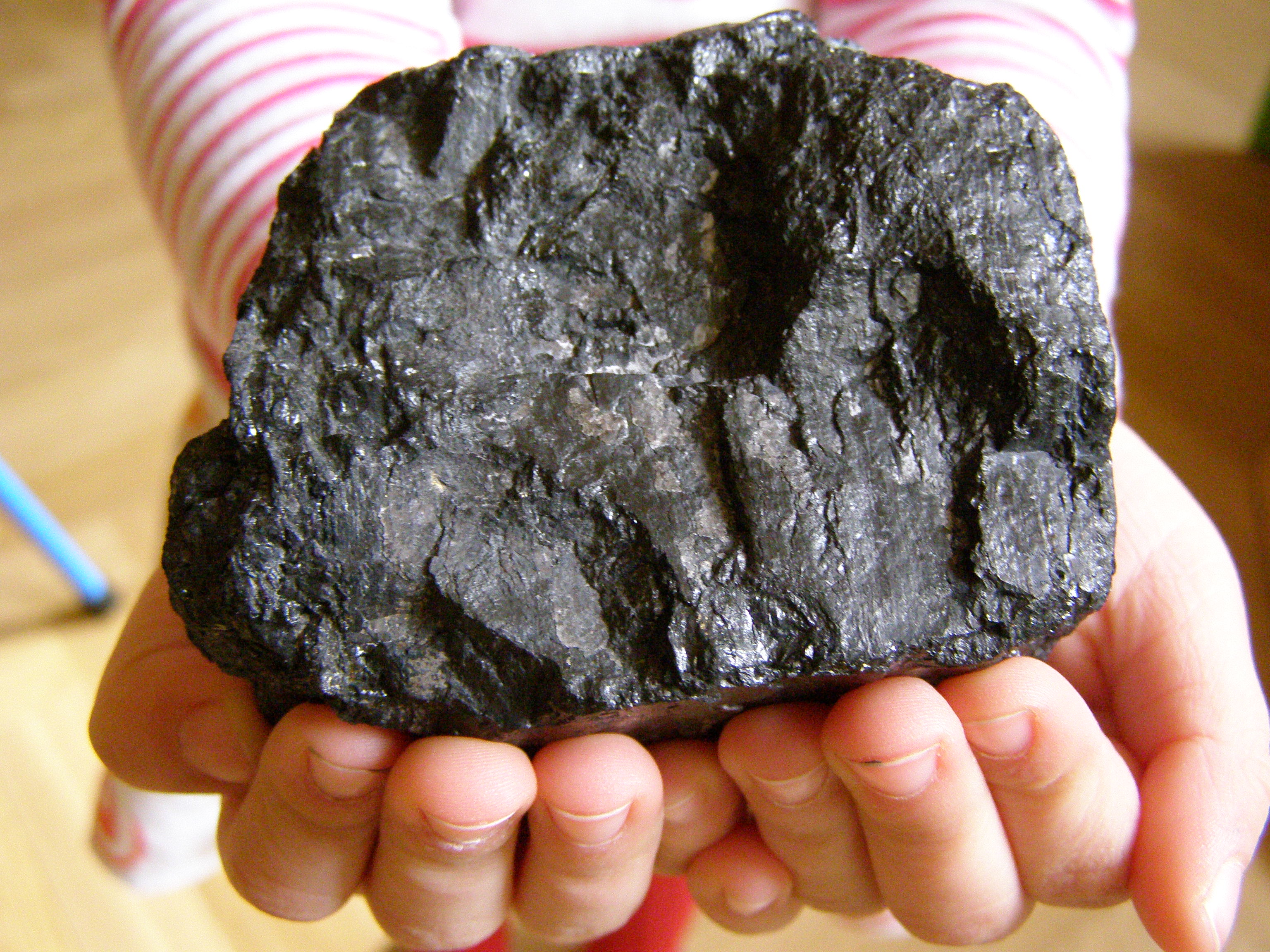 Суббитуминозный каменный уголь