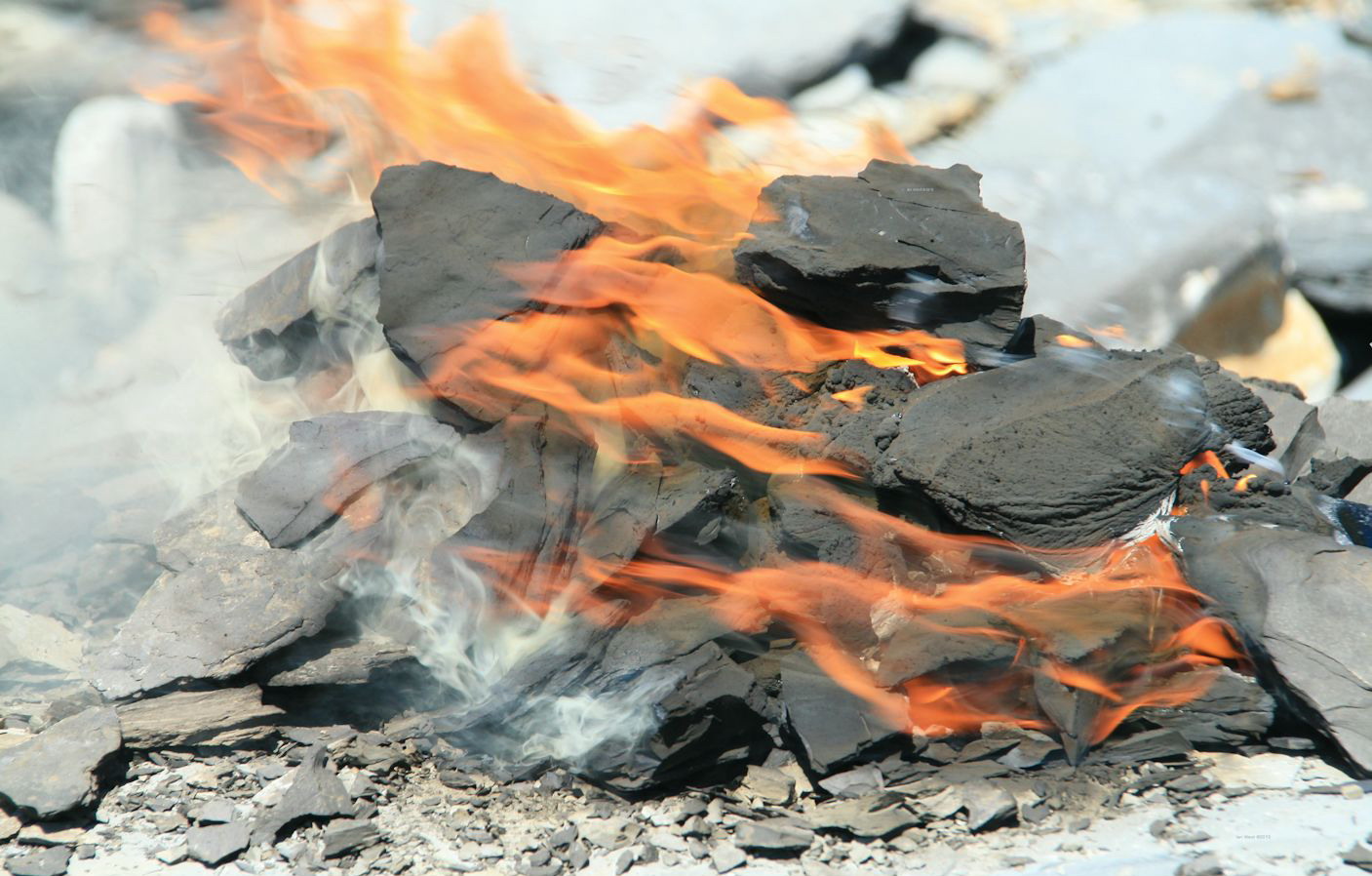 Горючие ископаемые горючие сланцы