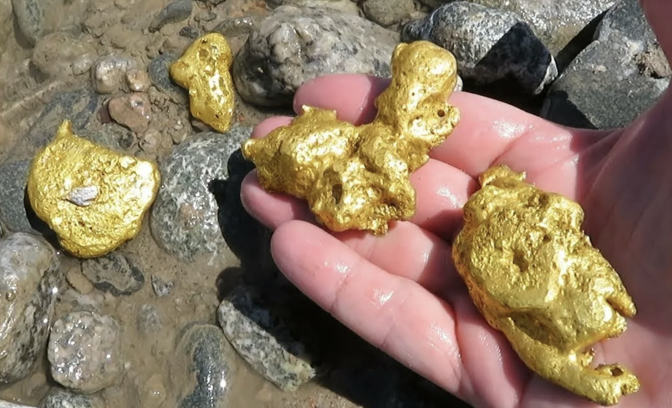 Обнаружили золотистый. Находка "золота Бактрии". Находка самородок золотой самородок. Золото в земле. Золотой самородок в земле.