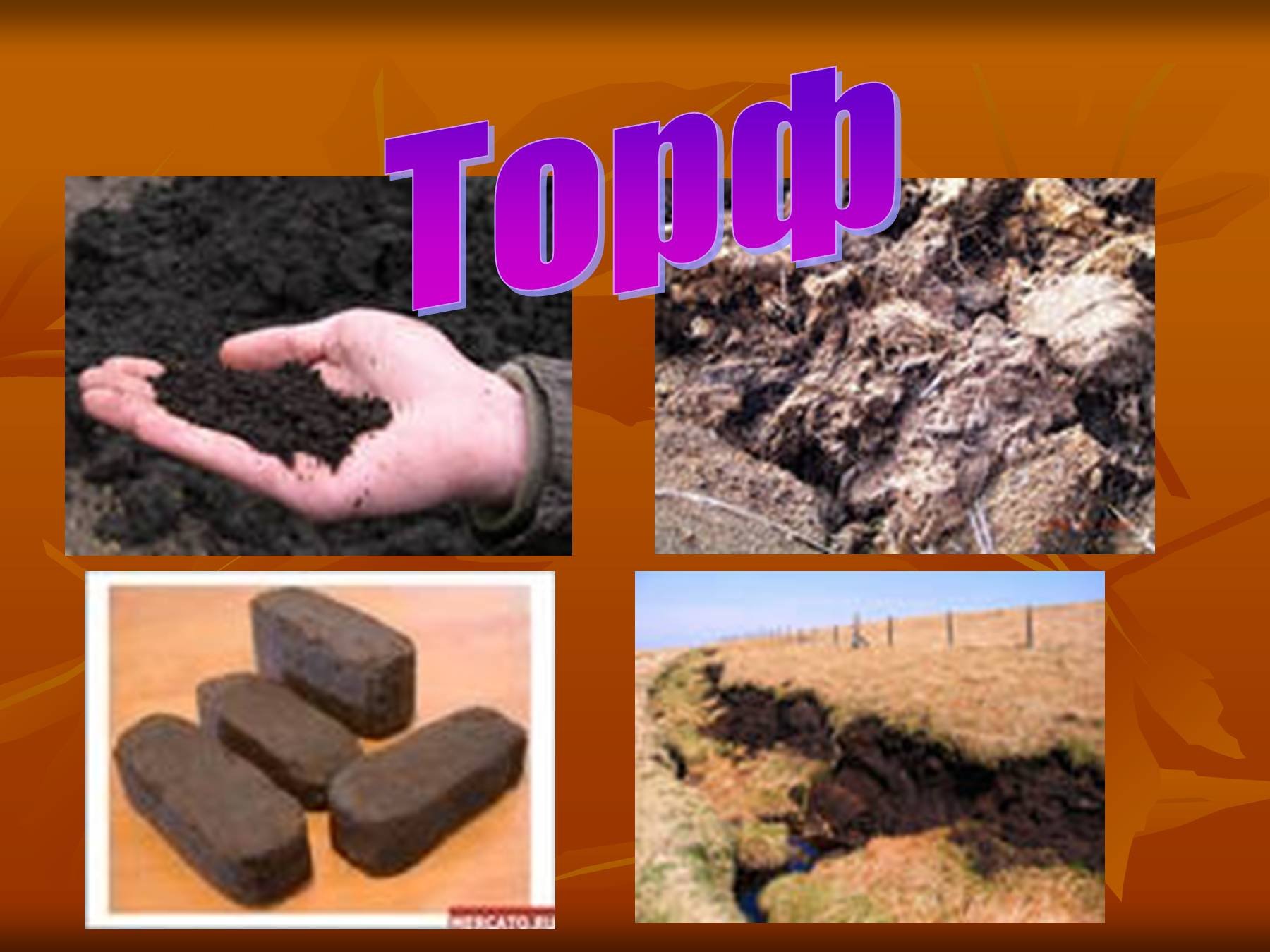Торф происхождение породы. Полезные ископаемые торф. Торф полезное ископаемое. Торф горючее полезное ископаемое. Природные ископаемые торф.