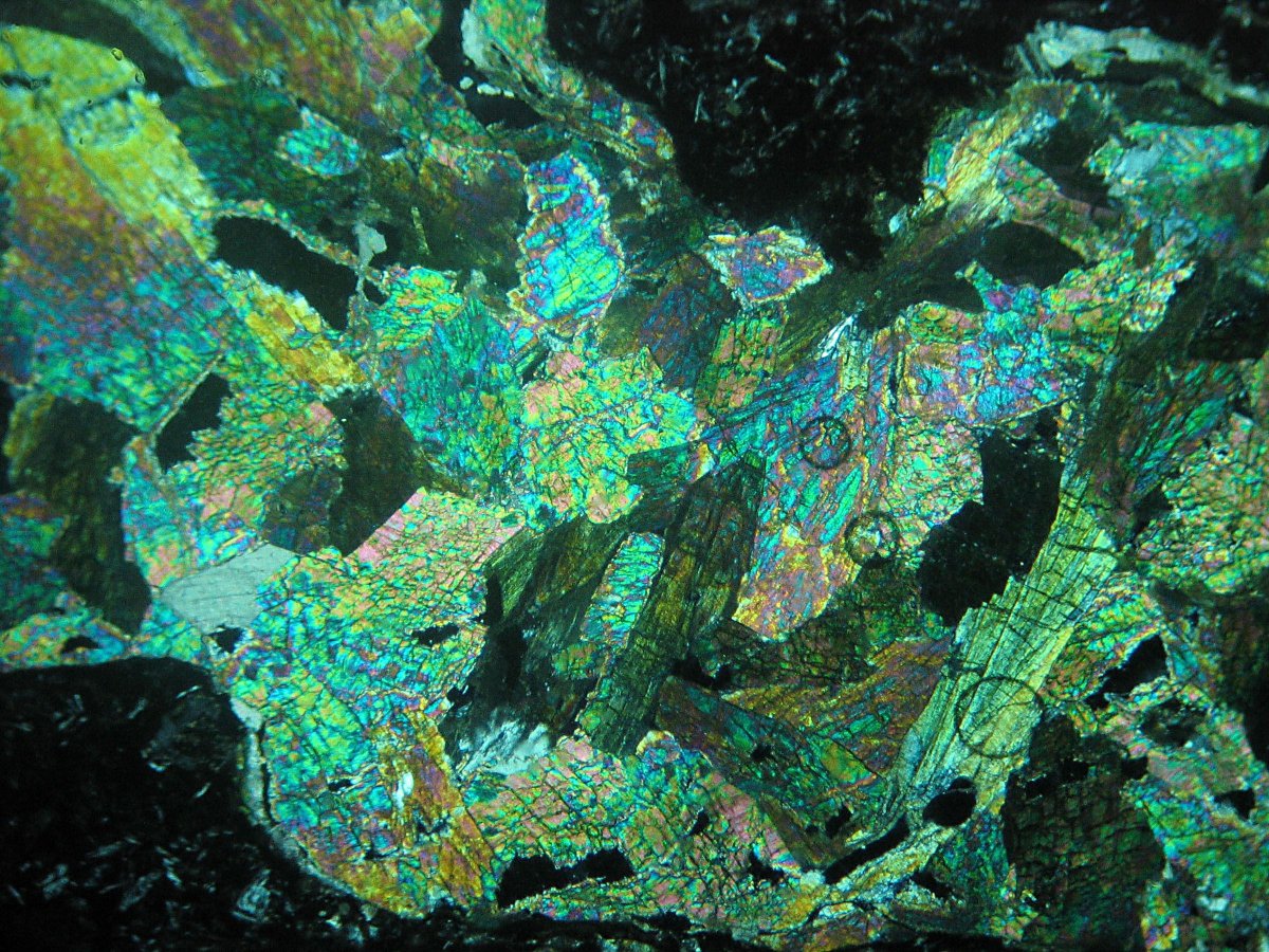 Forsterite thin section