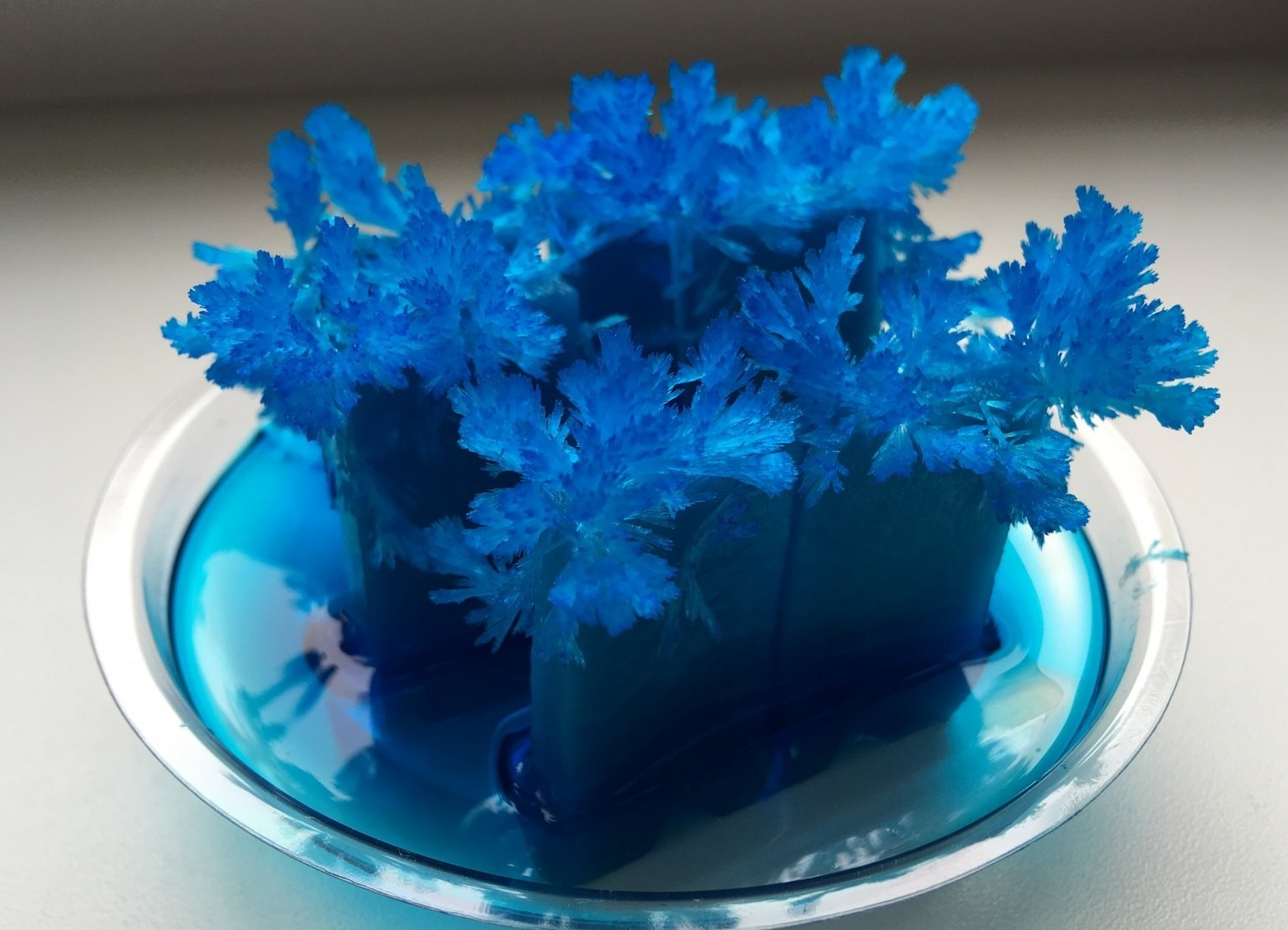 Выращенный. Вырастить Кристалл. Выращивание кристаллов в домашних условиях. Вырастить Кристалл в домашних условиях. Выращиваем синие Кристаллы.