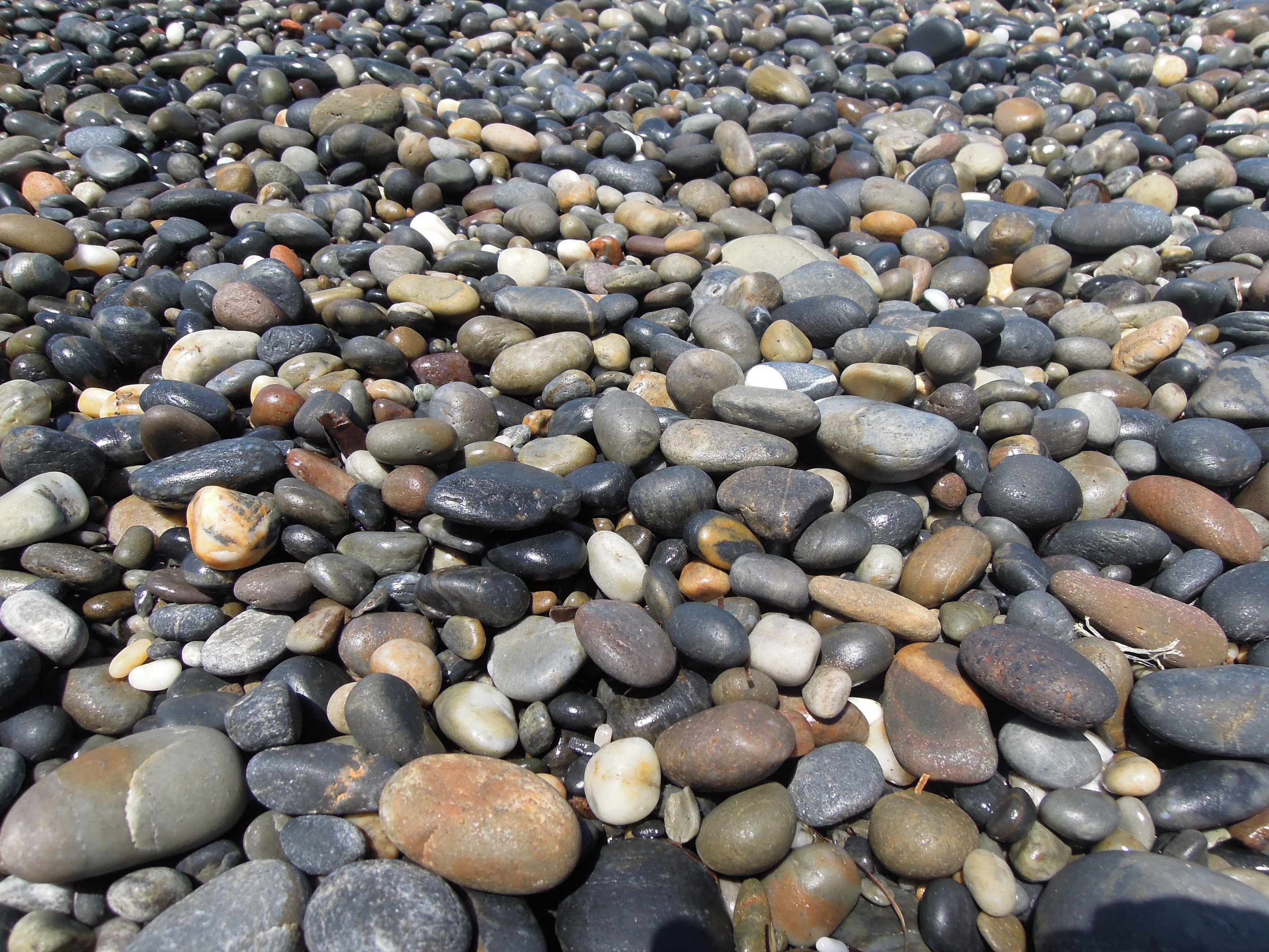 Камни с черного моря