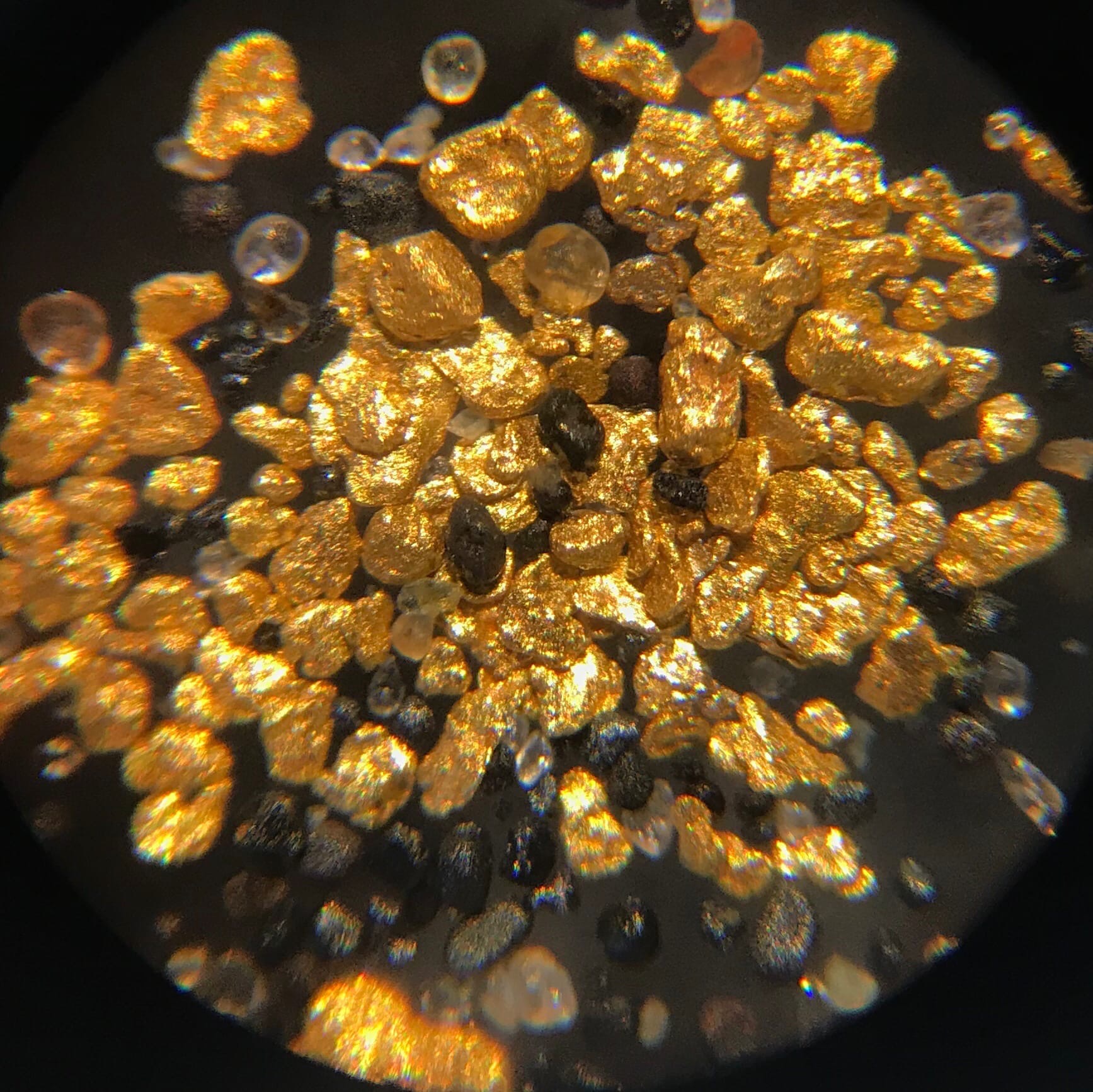 Золото ульманты. Золото в микроскопе. Кристаллы золота под микроскопом. Золотоносный песок под микроскопом. Самородное золото под микроскопом.