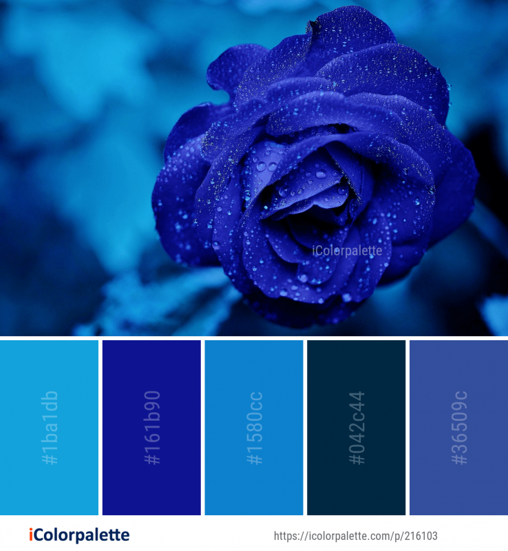 Оттенки синих цветов названия и фото