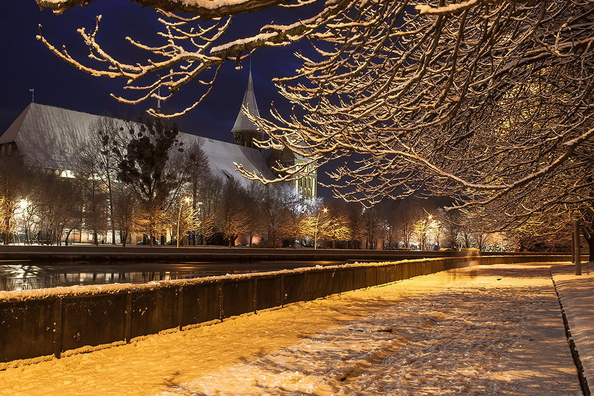 калининград достопримечательности зимой
