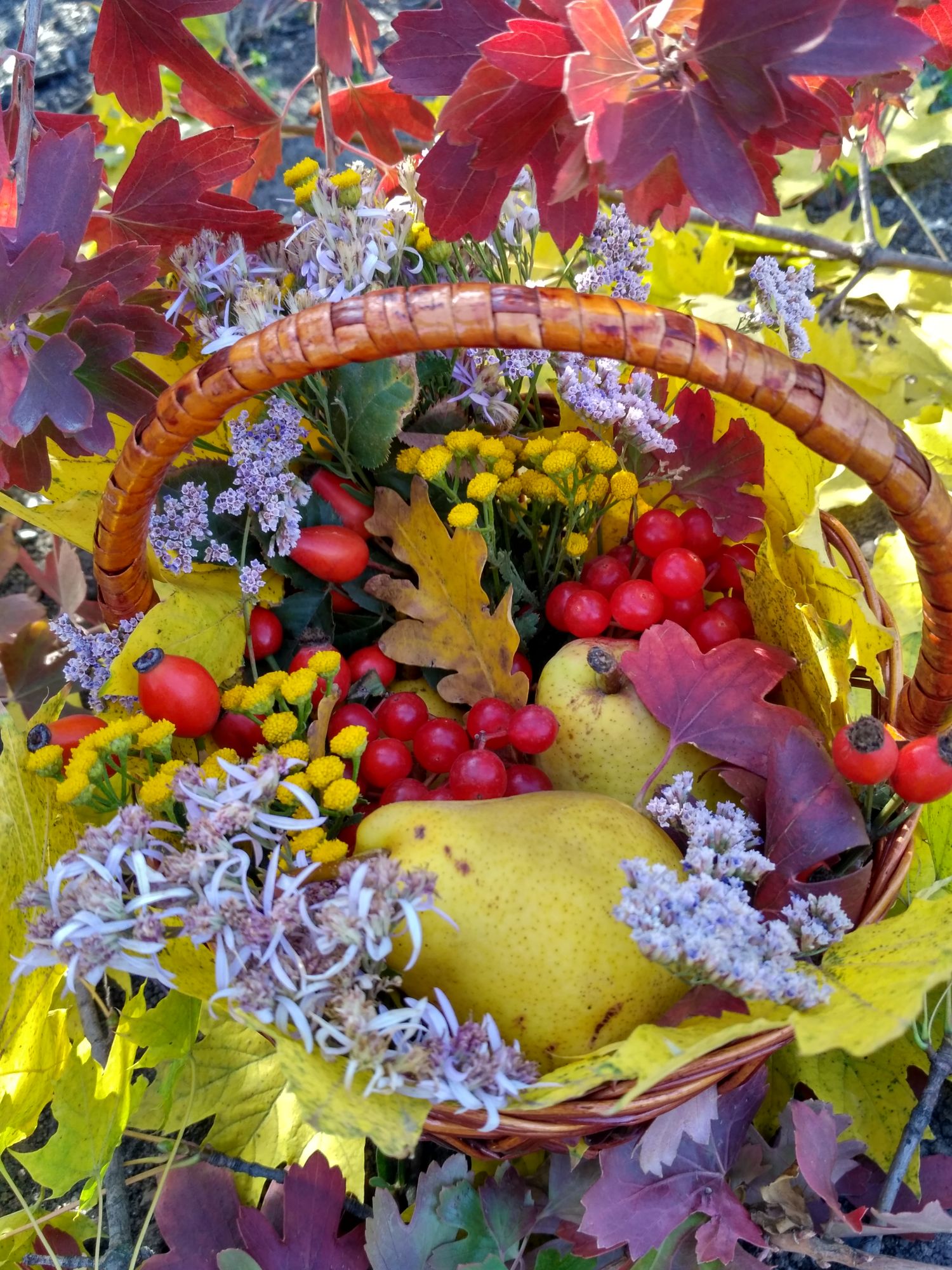 Осеннее богатство. Осенняя корзинка. Корзина дары осени. Осеннее лукошко. Осенняя корзина с фруктами и цветами.