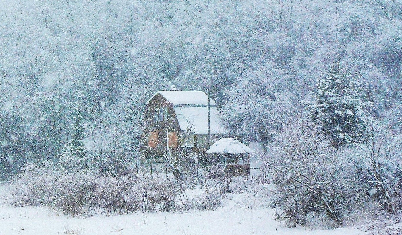 зима метель фото