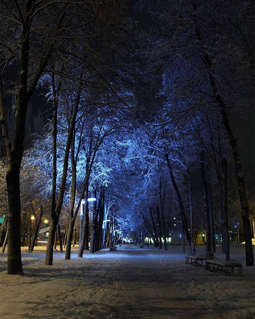 фото зимой вечером