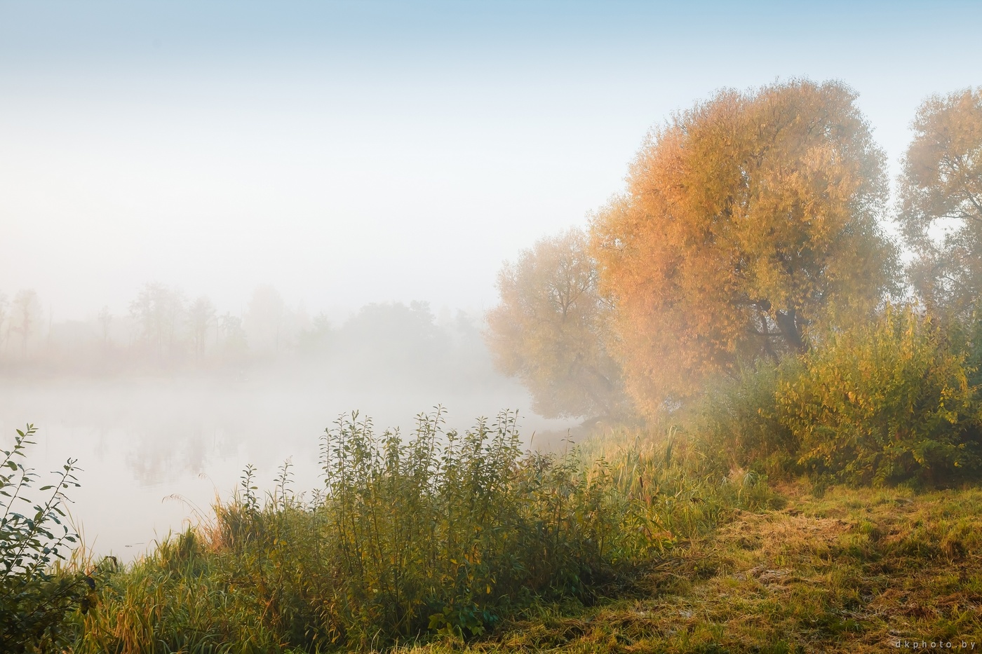 картинки с туманом осенью доброе утро