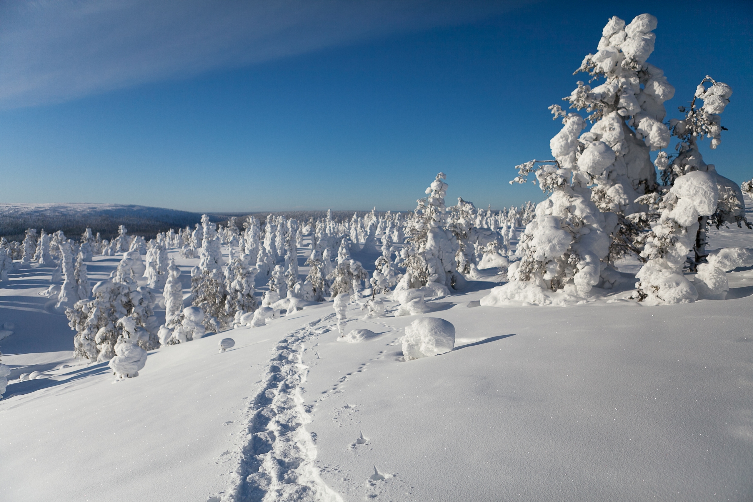 финляндия зимой красивые