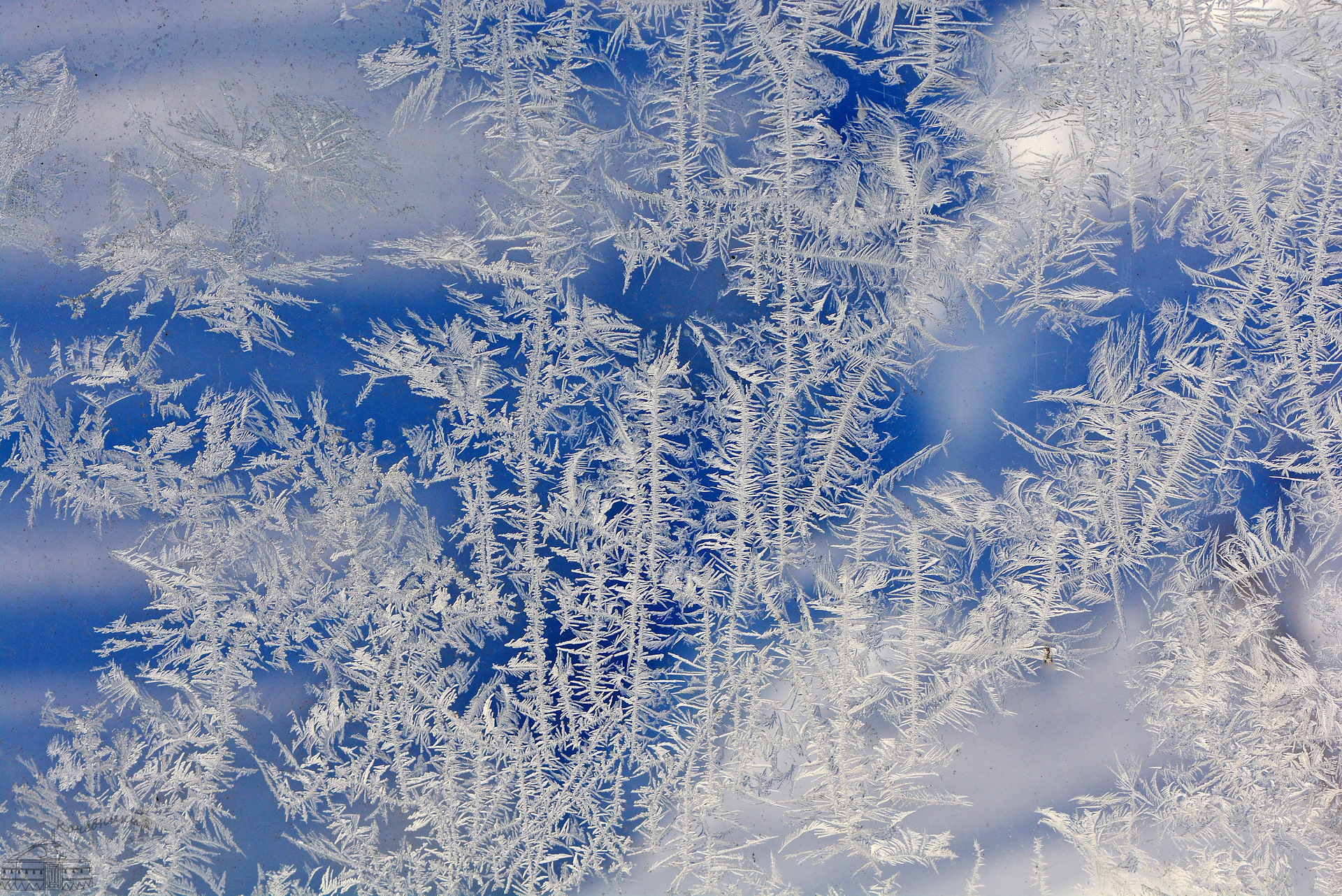 Зимний день воздух. Морозные узоры. Морозные узоры на окне. Снежные узоры.