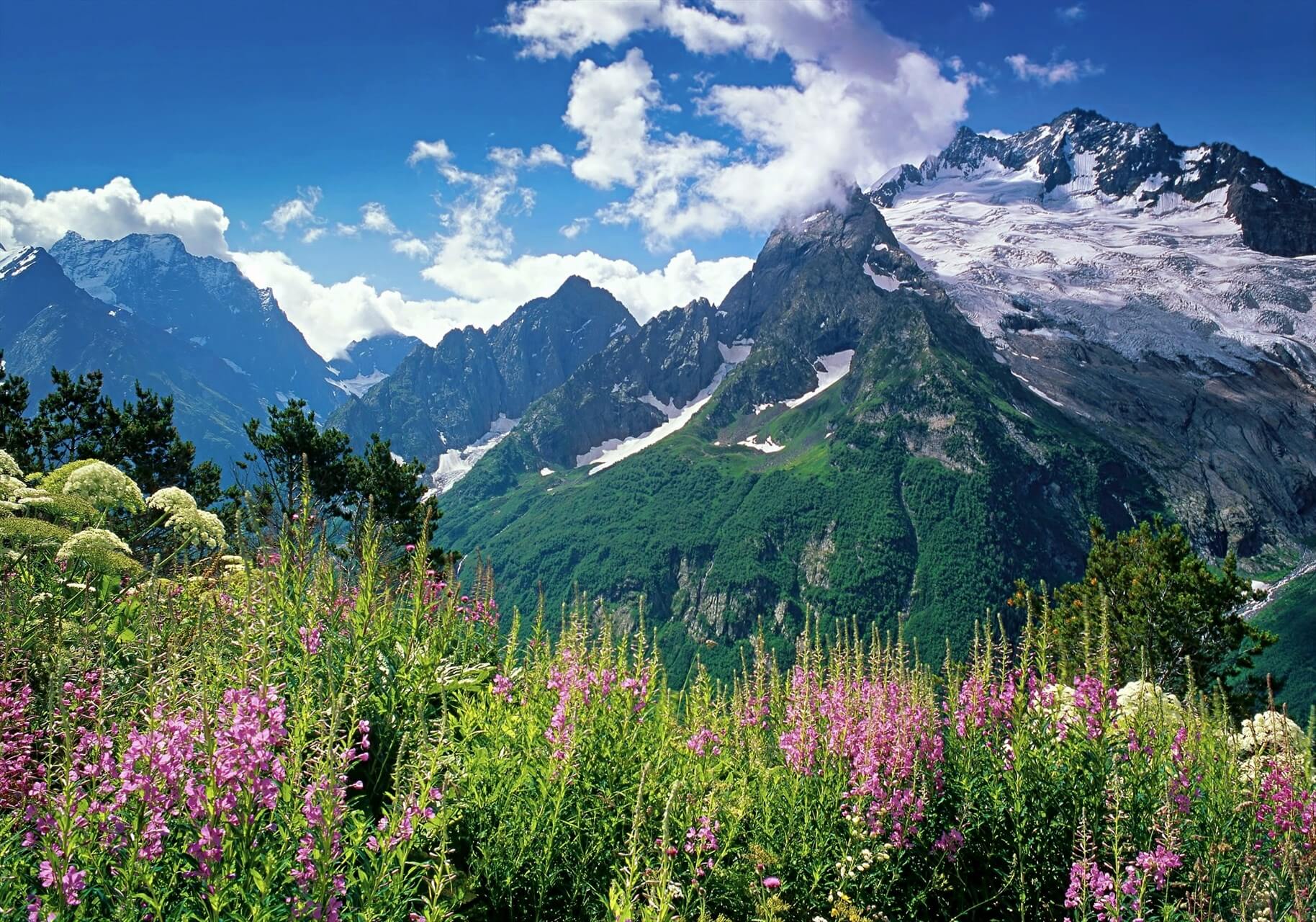 горы кавказа летом
