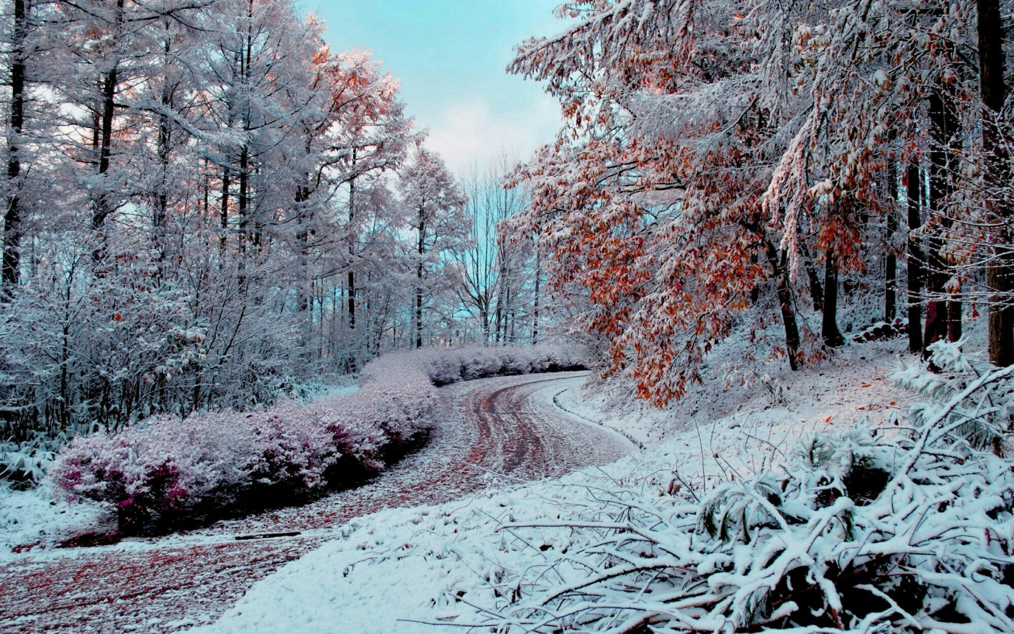 фото начало зимы