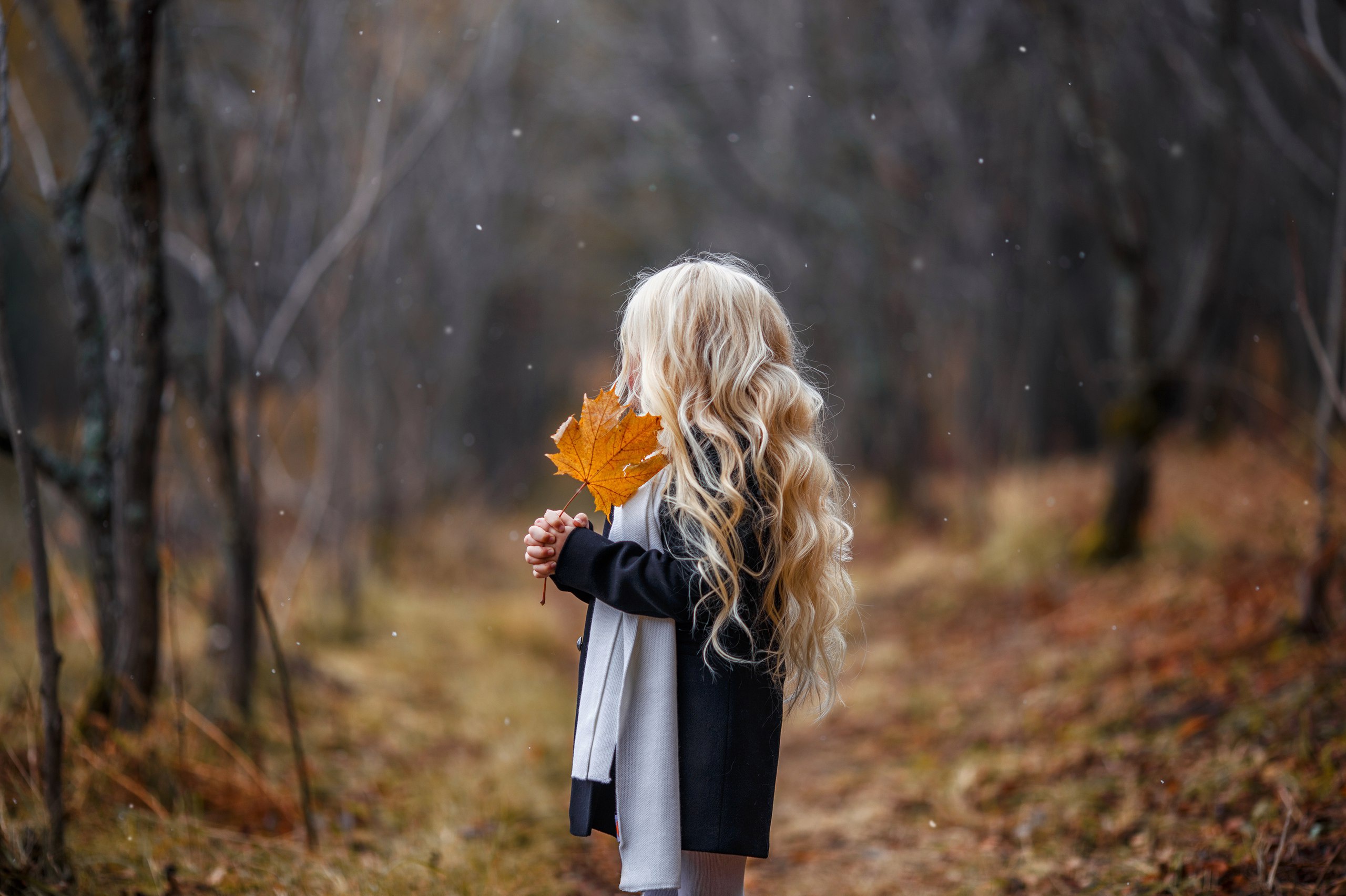 фото на аватарку для женщины природа осень