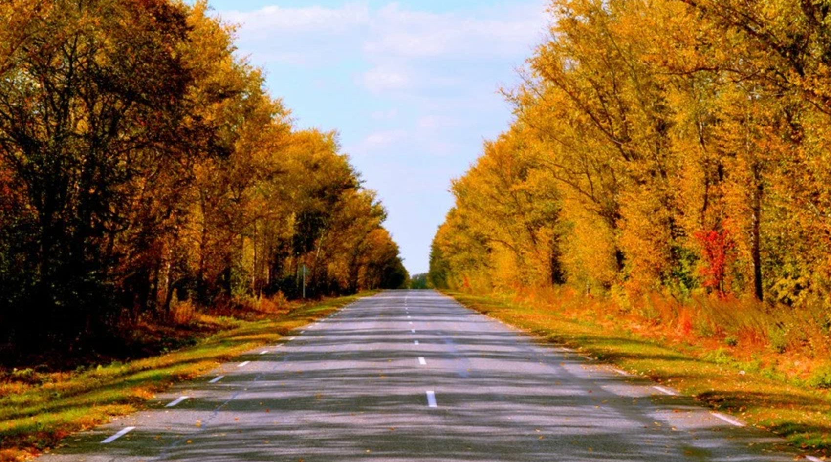 Осенняя дорога домой. Осенняя дорога. Дорога в осень. Осень вдоль дороги. Дорога уходящая вдаль.