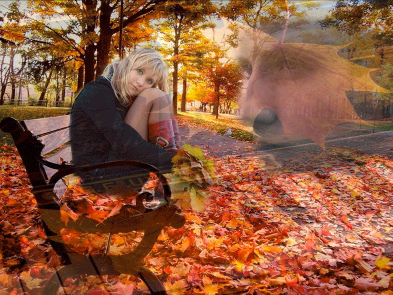 Улетели теплые дни. Осенняя любовь. Осенняя печаль. Осень грусть. Осень любовь.