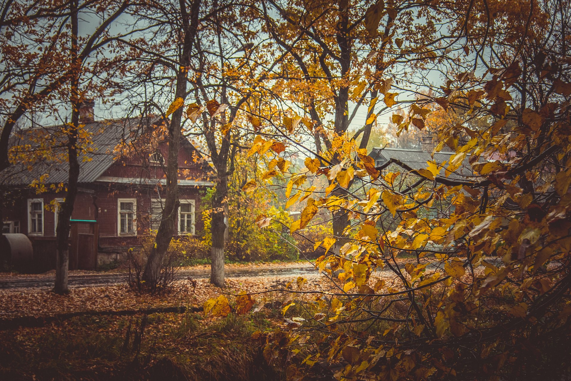 деревенская осень фото