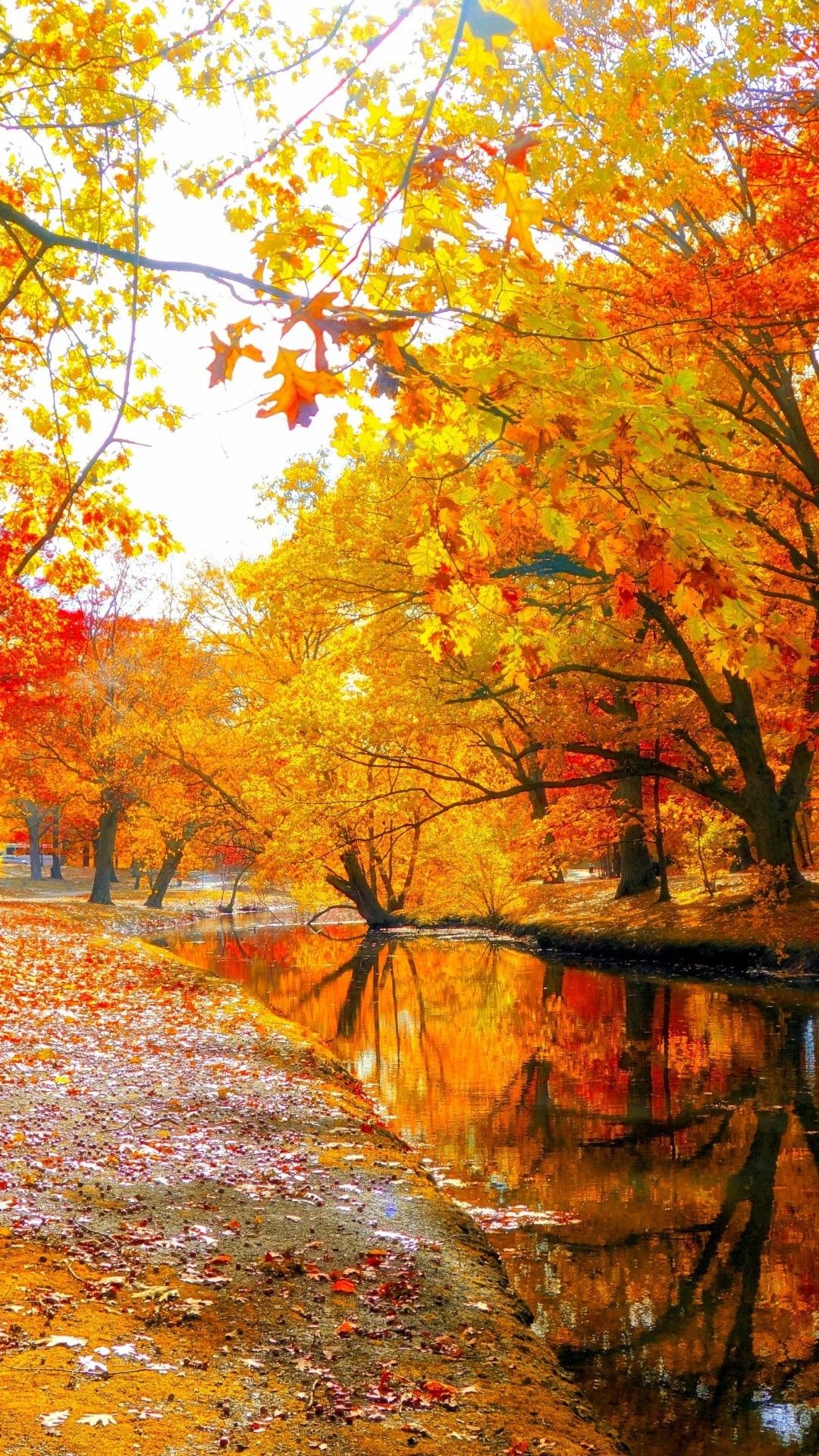 картинки осень красивые пейзажи вертикальные
