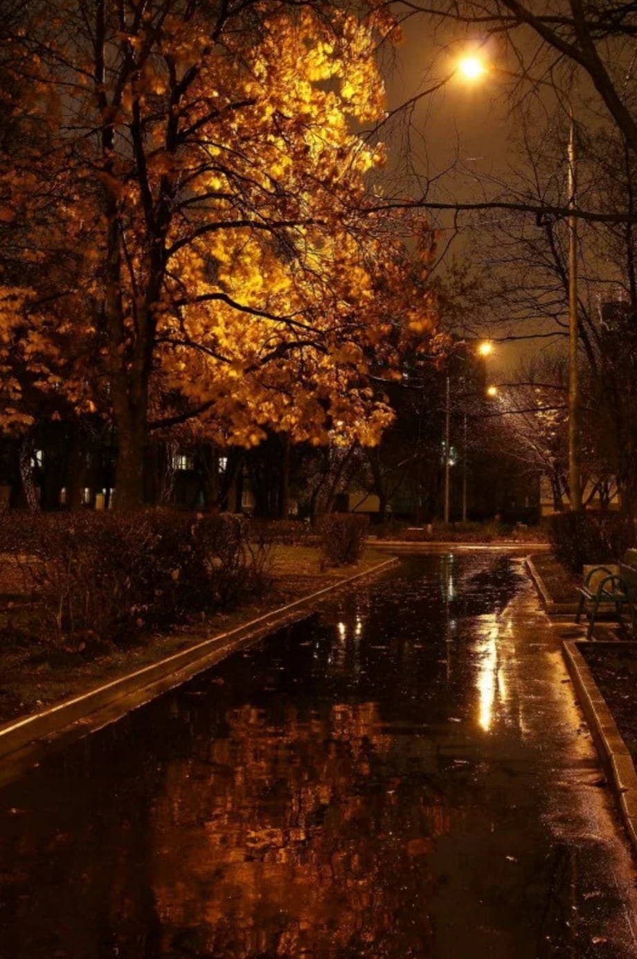 ночная осень картинки