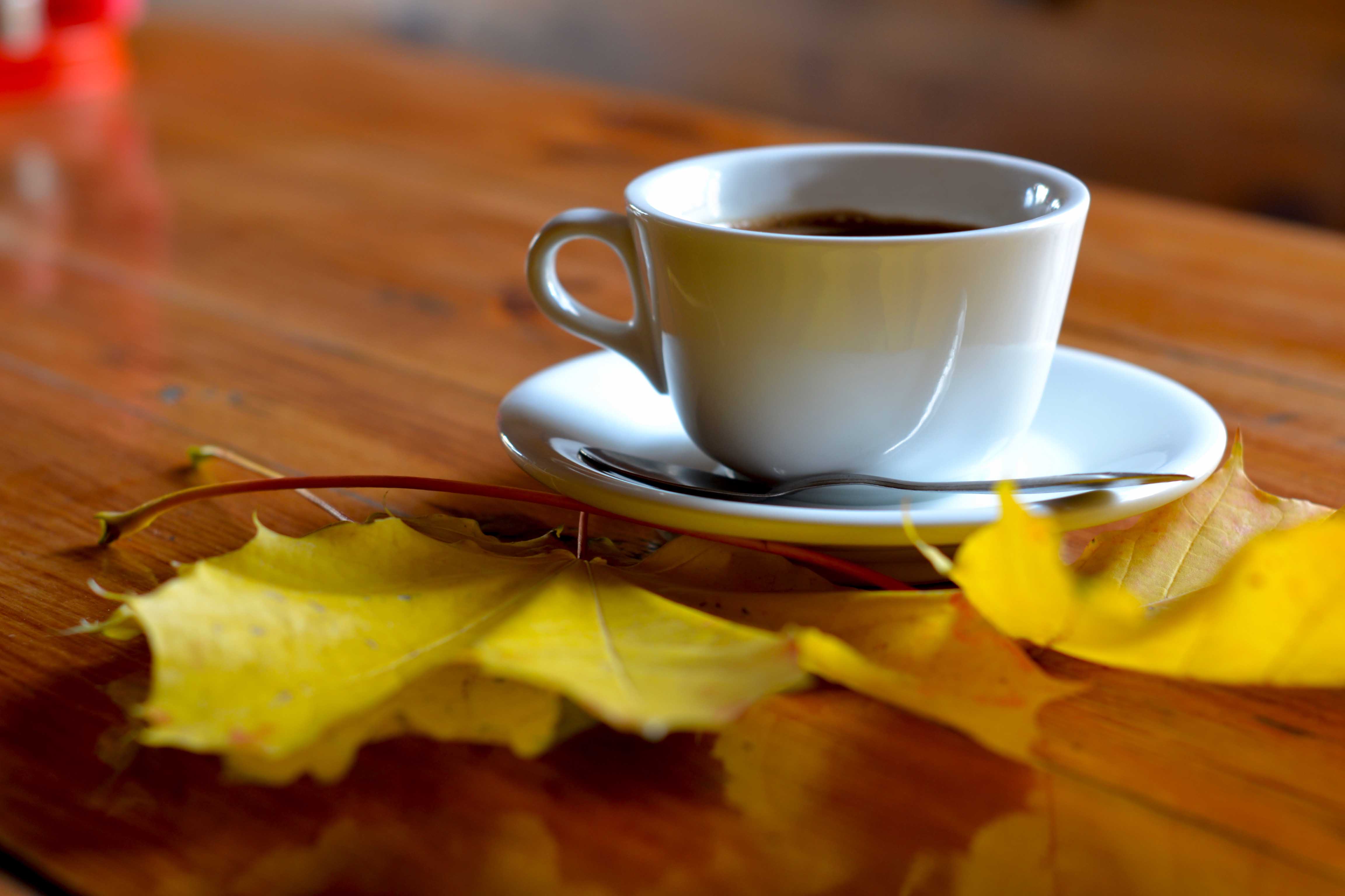 Утром ь. Чашка чая осень. Осенний чай. Утро осень чай. Осень кофе.