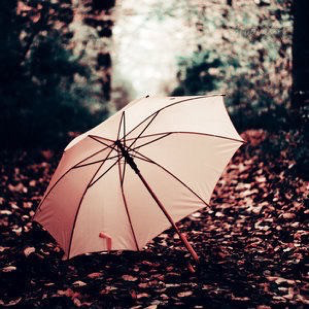 Имя зонтик. Зонтик. Красивый зонт. Зонт Эстетика. Зонтик на природе.