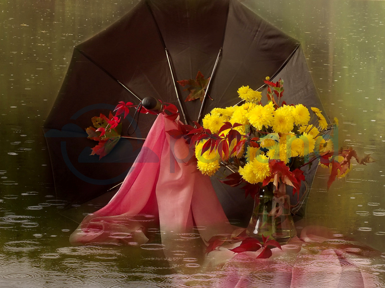 Весенний зонтик. Цветы в зонтике. Осенние цветы в зонтике. Осенний букет. Осенний зонтик.