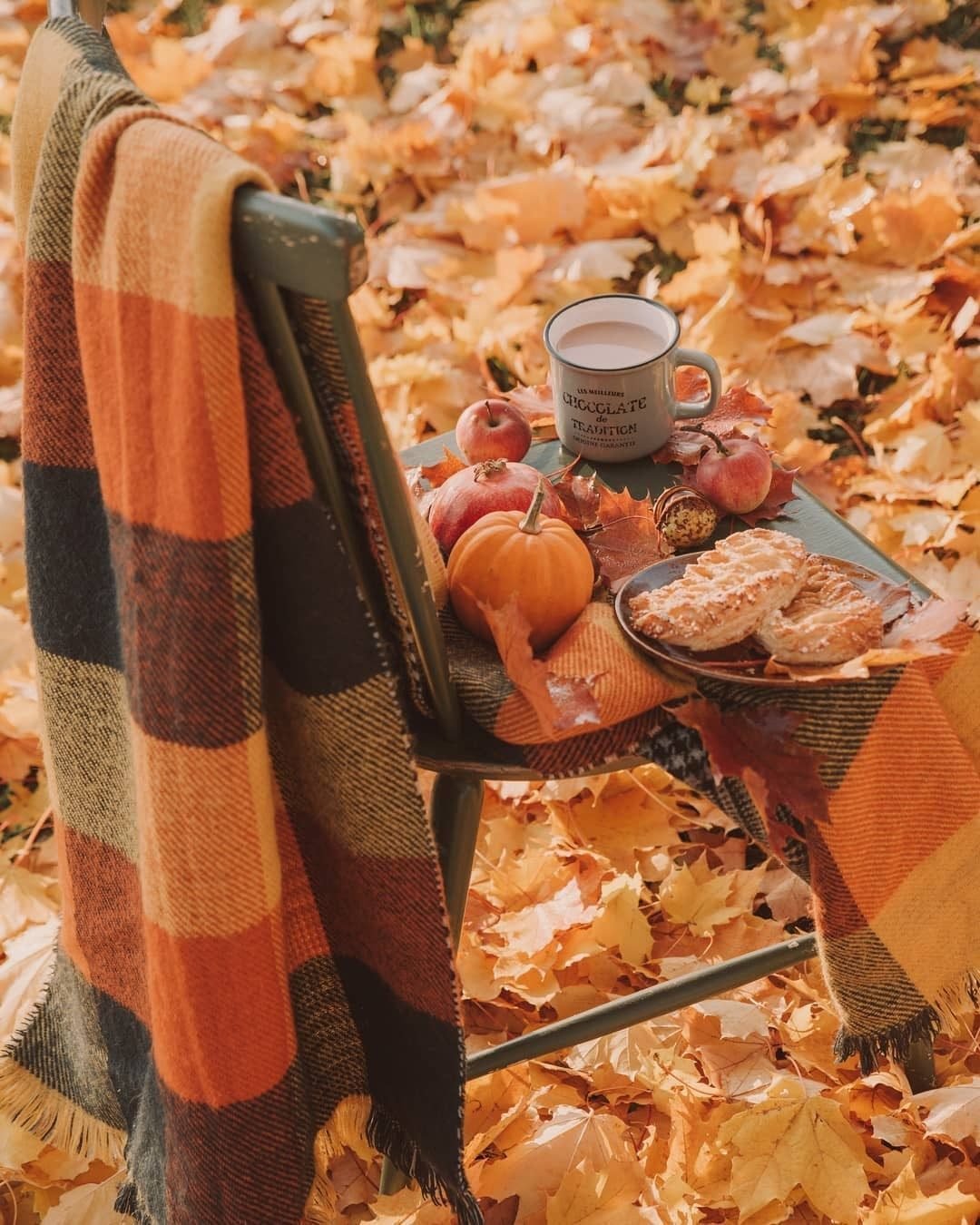 картинки на телефон осень красивые уютные