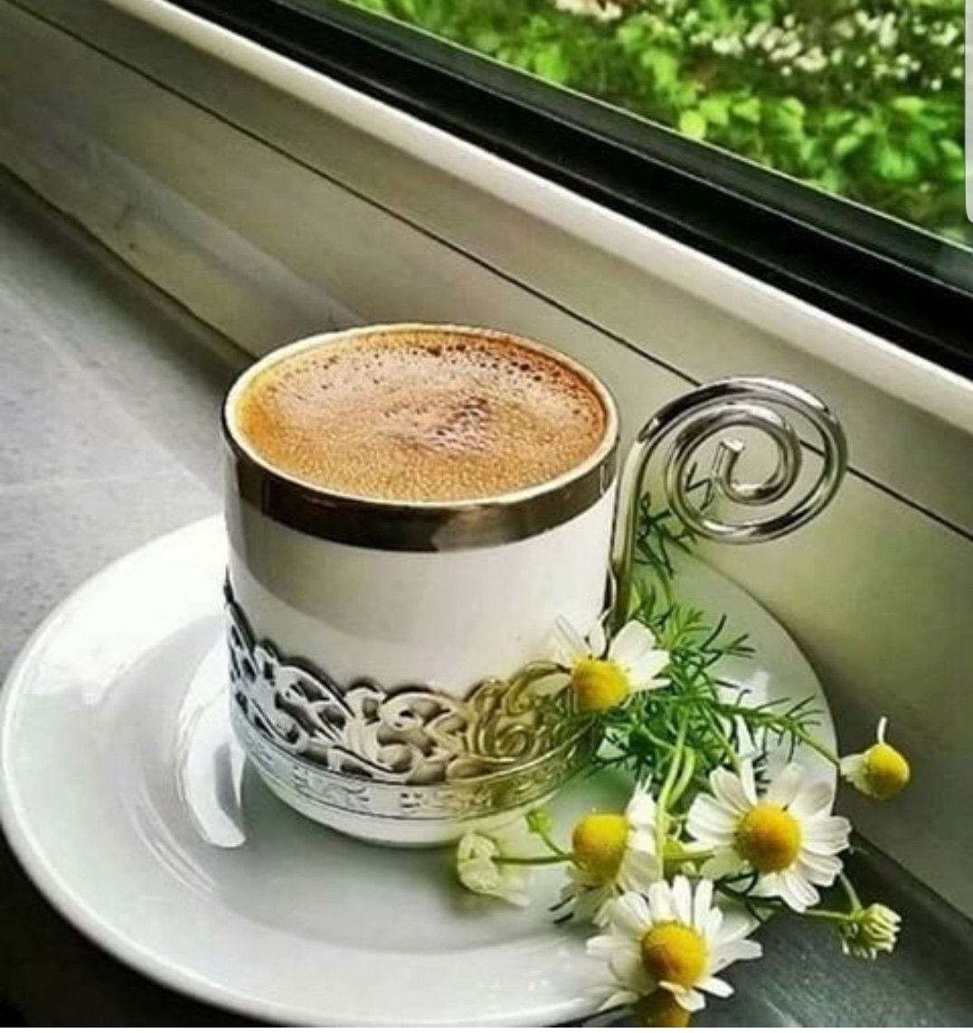 красивые фото утра кофе