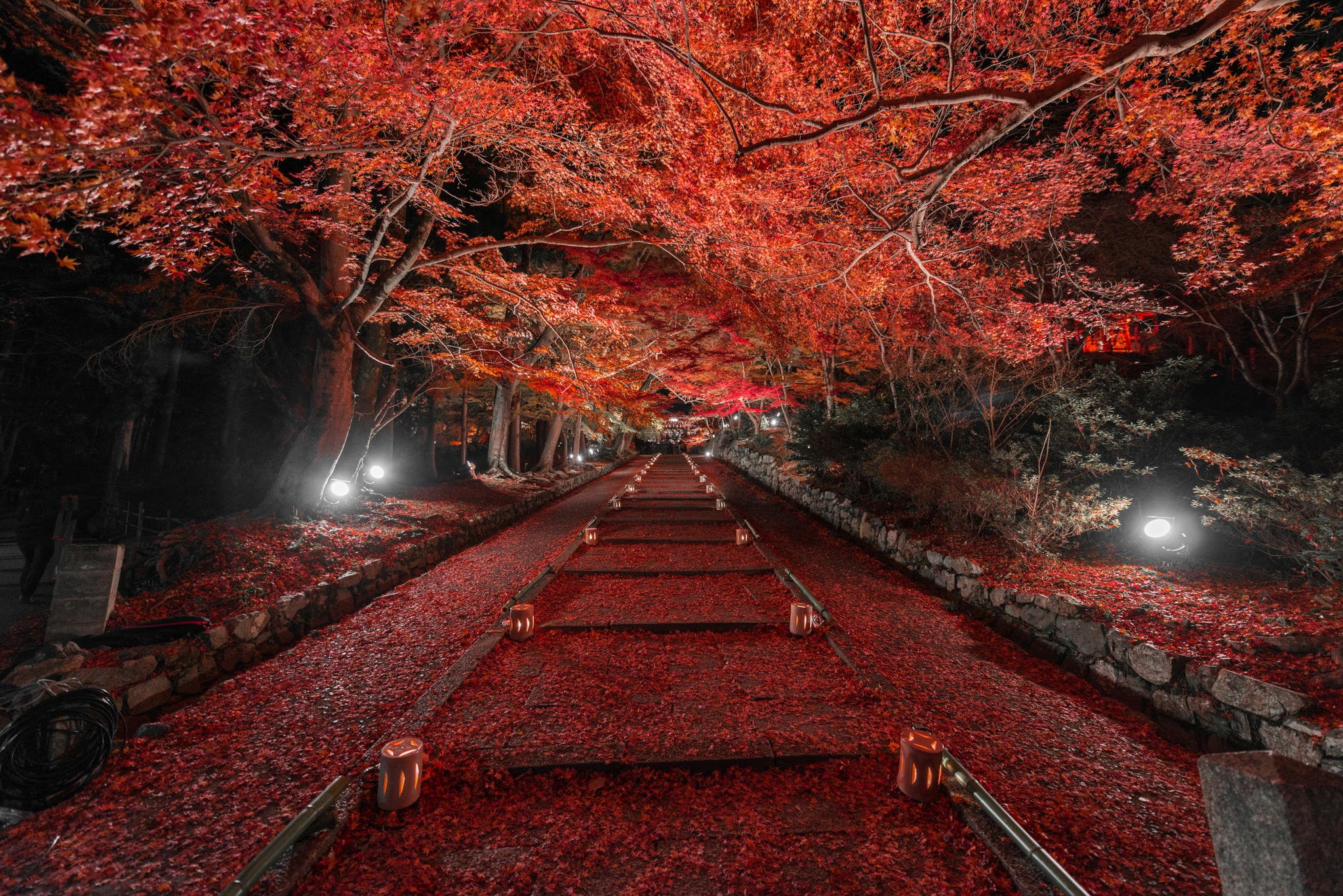 осень в японии