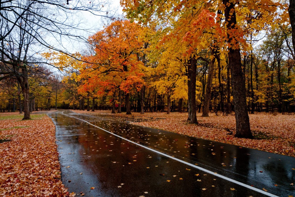 фото пасмурной погоды осенью