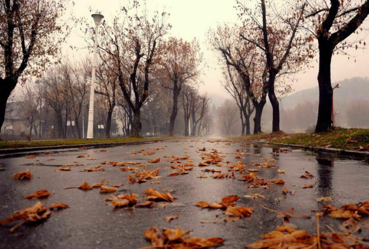 фото пасмурной погоды осенью