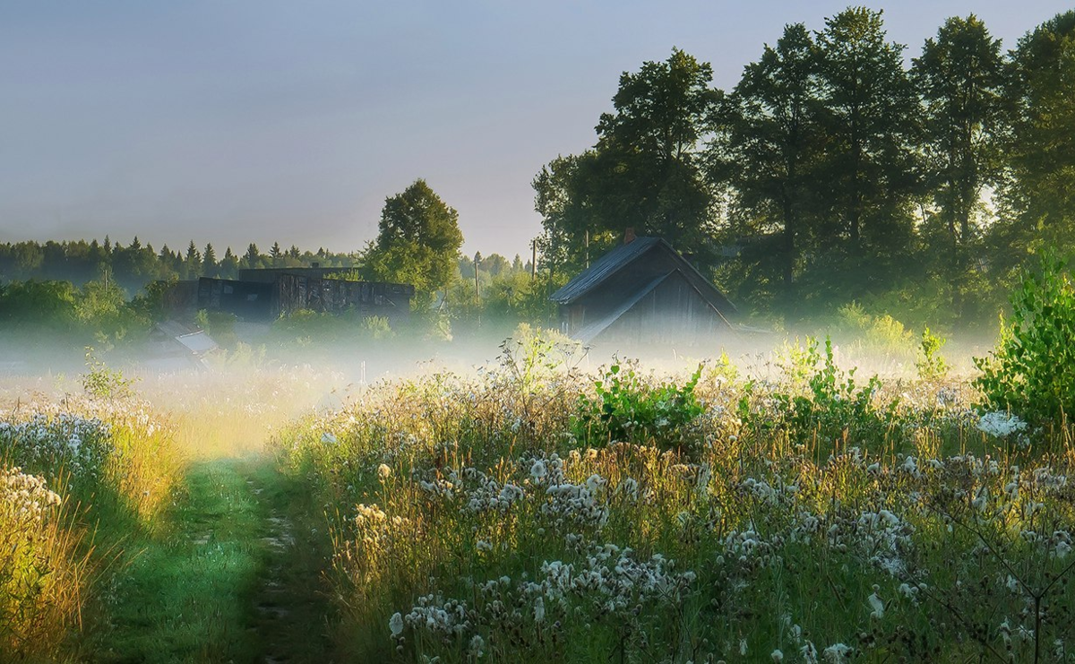 Раннее летнее утро в воздухе впр. Утренний пейзаж деревня Герасимов. Утро в деревне. Солнечное утро в деревне. Рассвет в деревне летом.