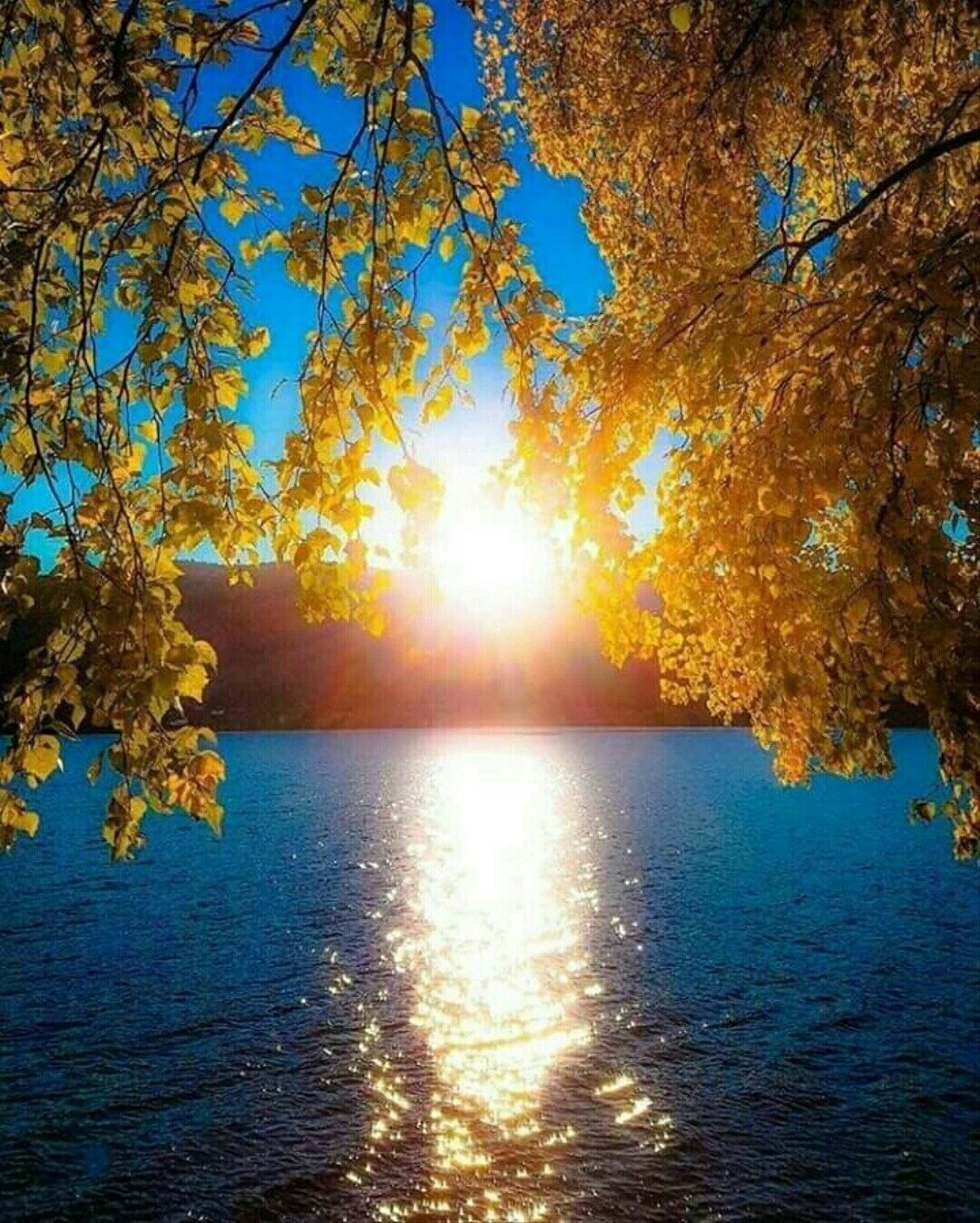 осень солнце фото красивые природа