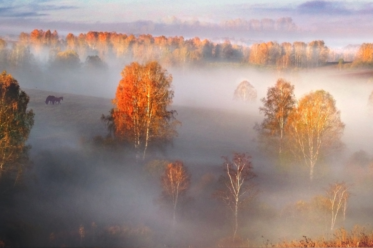 картинки с туманом осенью доброе утро